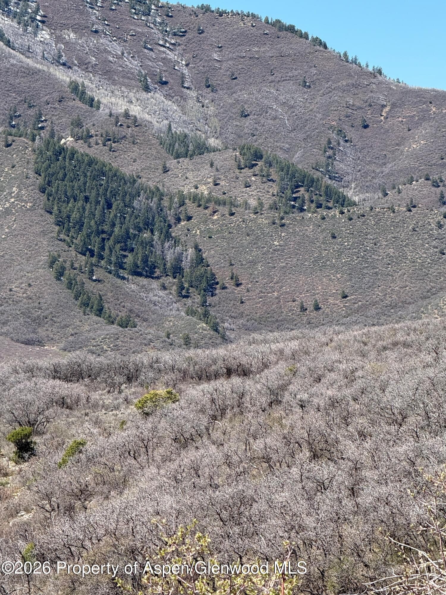 0 South Fork Road, Rifle, CO 81650 - Photo 5