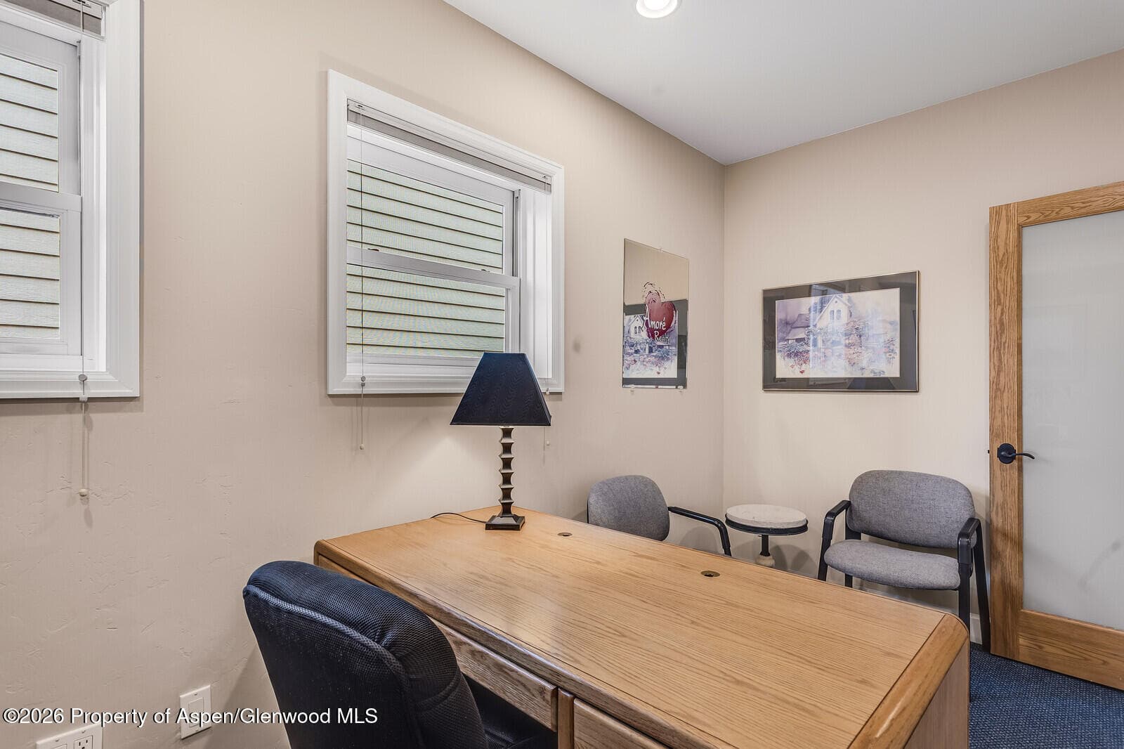 711 Main Street, Carbondale, CO 81623 - Photo 16