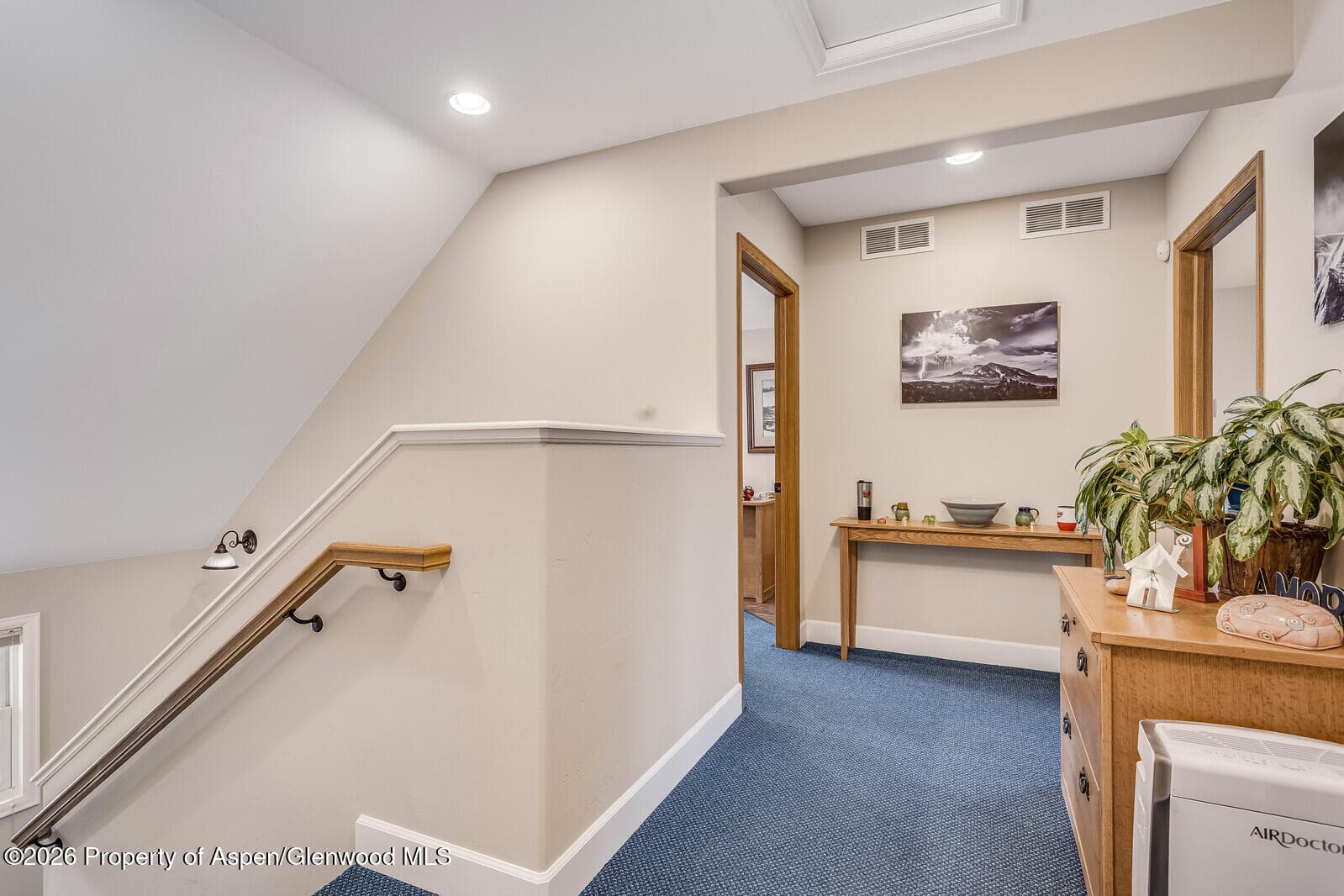 711 Main Street, Carbondale, CO 81623 - Photo 20