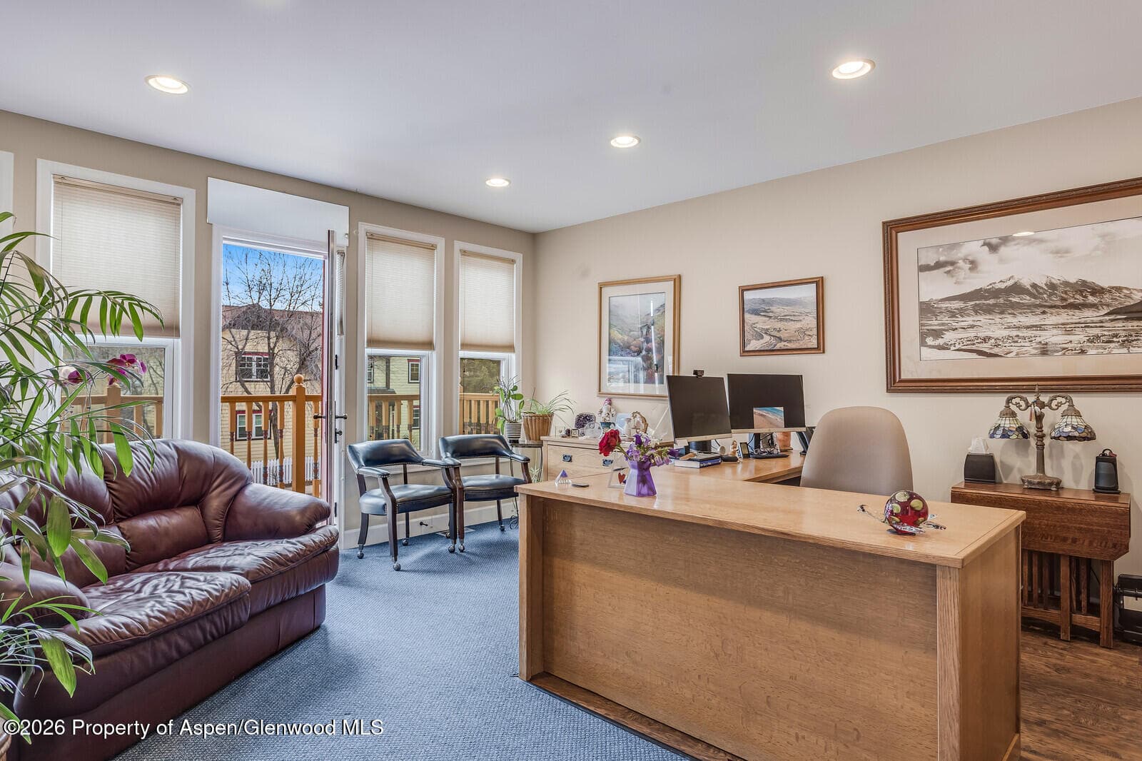 711 Main Street, Carbondale, CO 81623 - Photo 22
