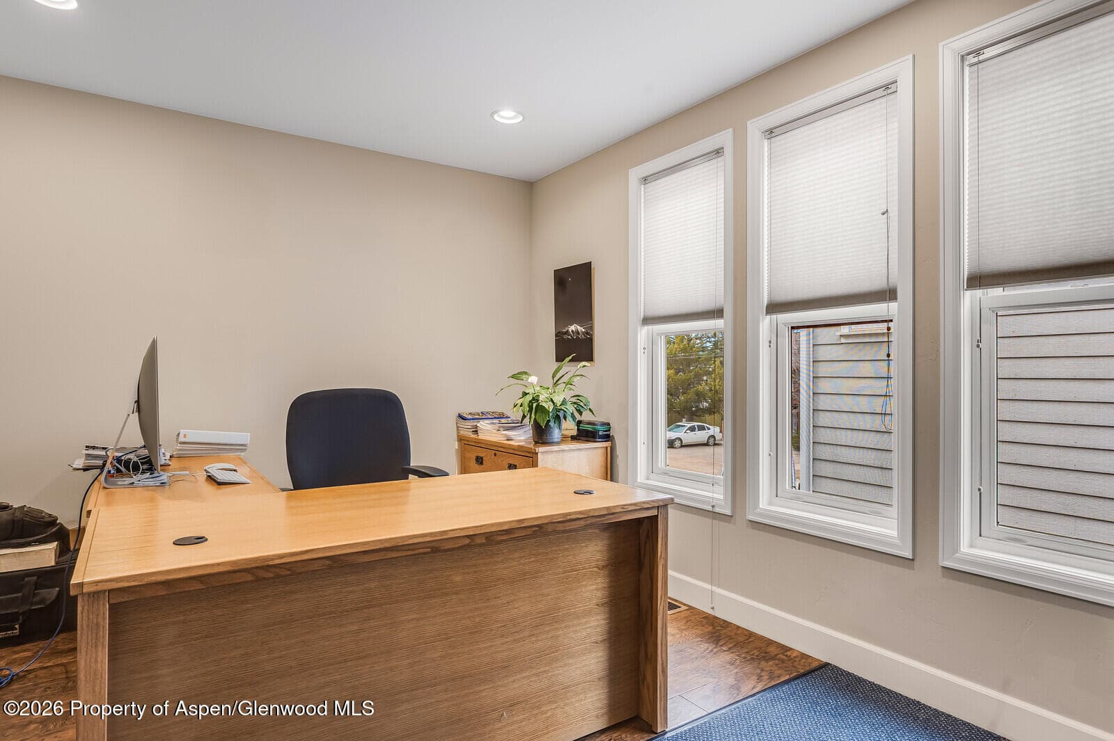 711 Main Street, Carbondale, CO 81623 - Photo 25