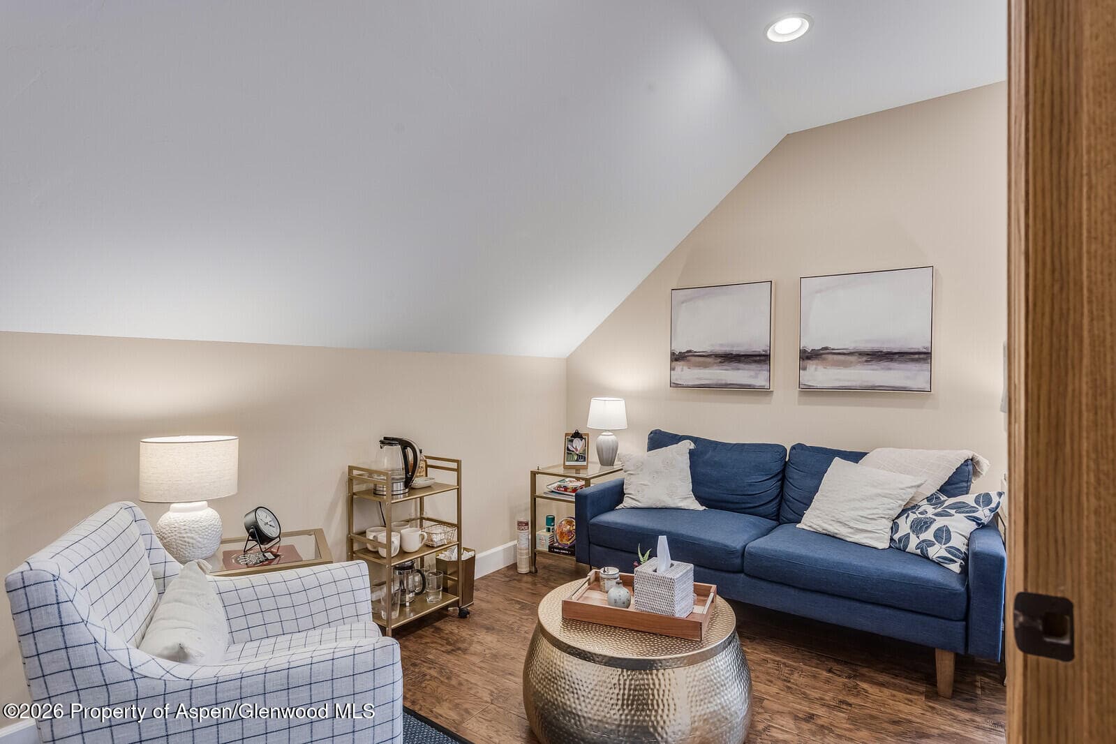 711 Main Street, Carbondale, CO 81623 - Photo 26