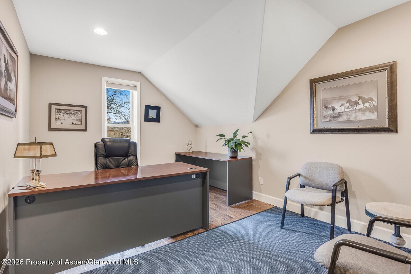 711 Main Street, Carbondale, CO 81623 - Photo 30