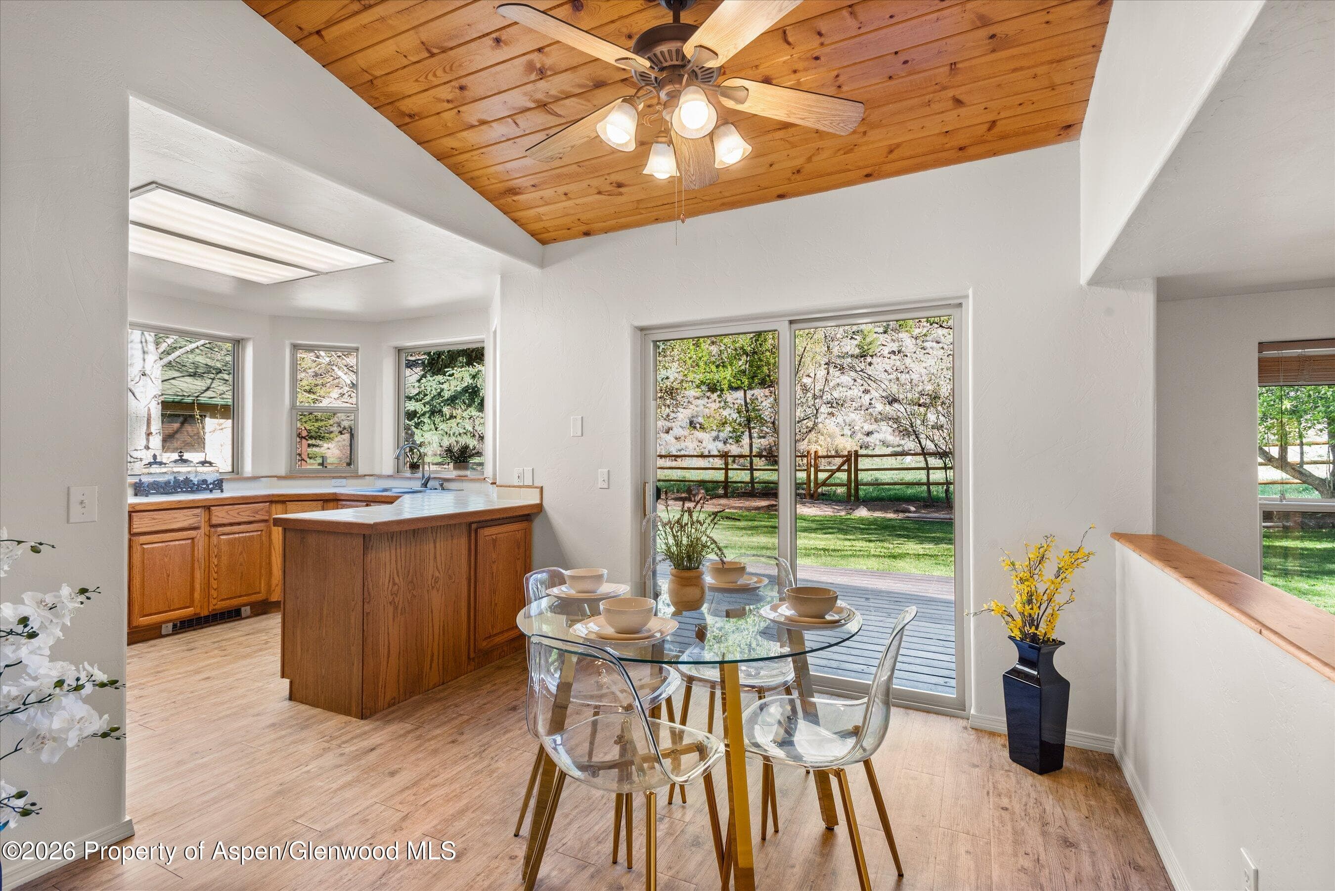 268 Deer Run, Carbondale, CO 81623 - Photo 14