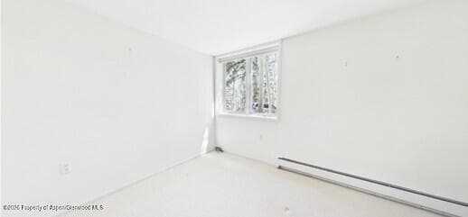 209 Larkspur Lane, Aspen, CO 81611 - Photo 17