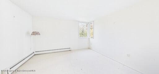 209 Larkspur Lane, Aspen, CO 81611 - Photo 19