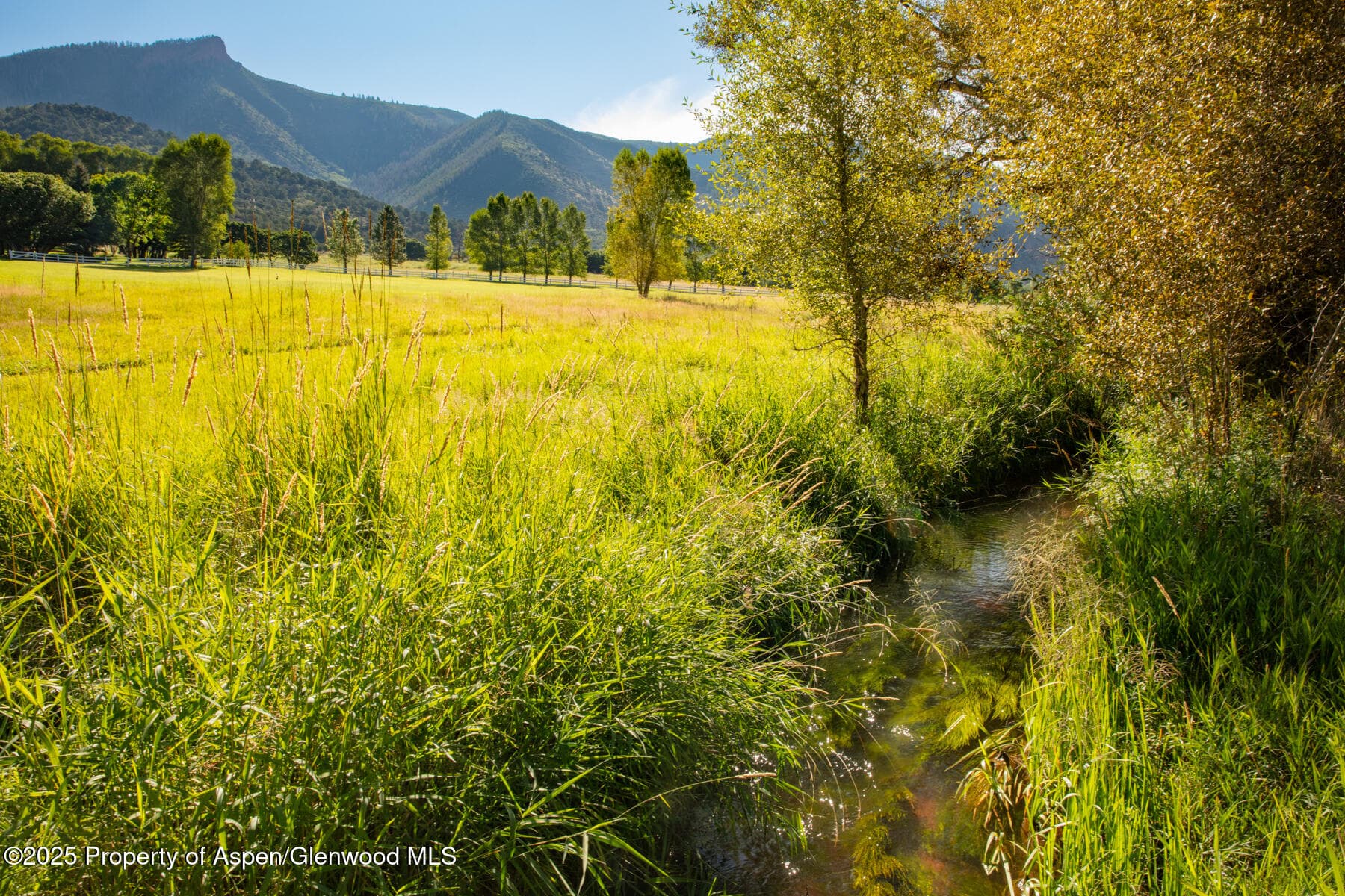 Tbd Lower River Road, Snowmass, CO 81654 - Photo 6