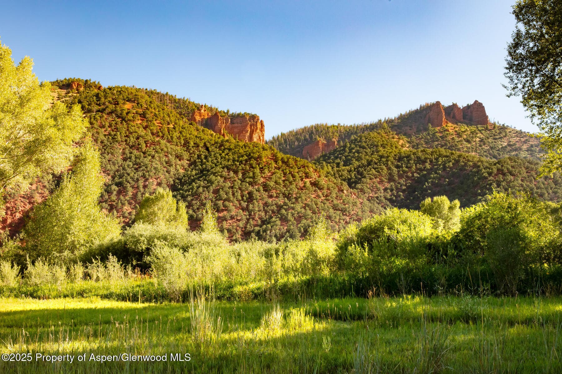 Tbd Lower River Road, Snowmass, CO 81654 - Photo 7