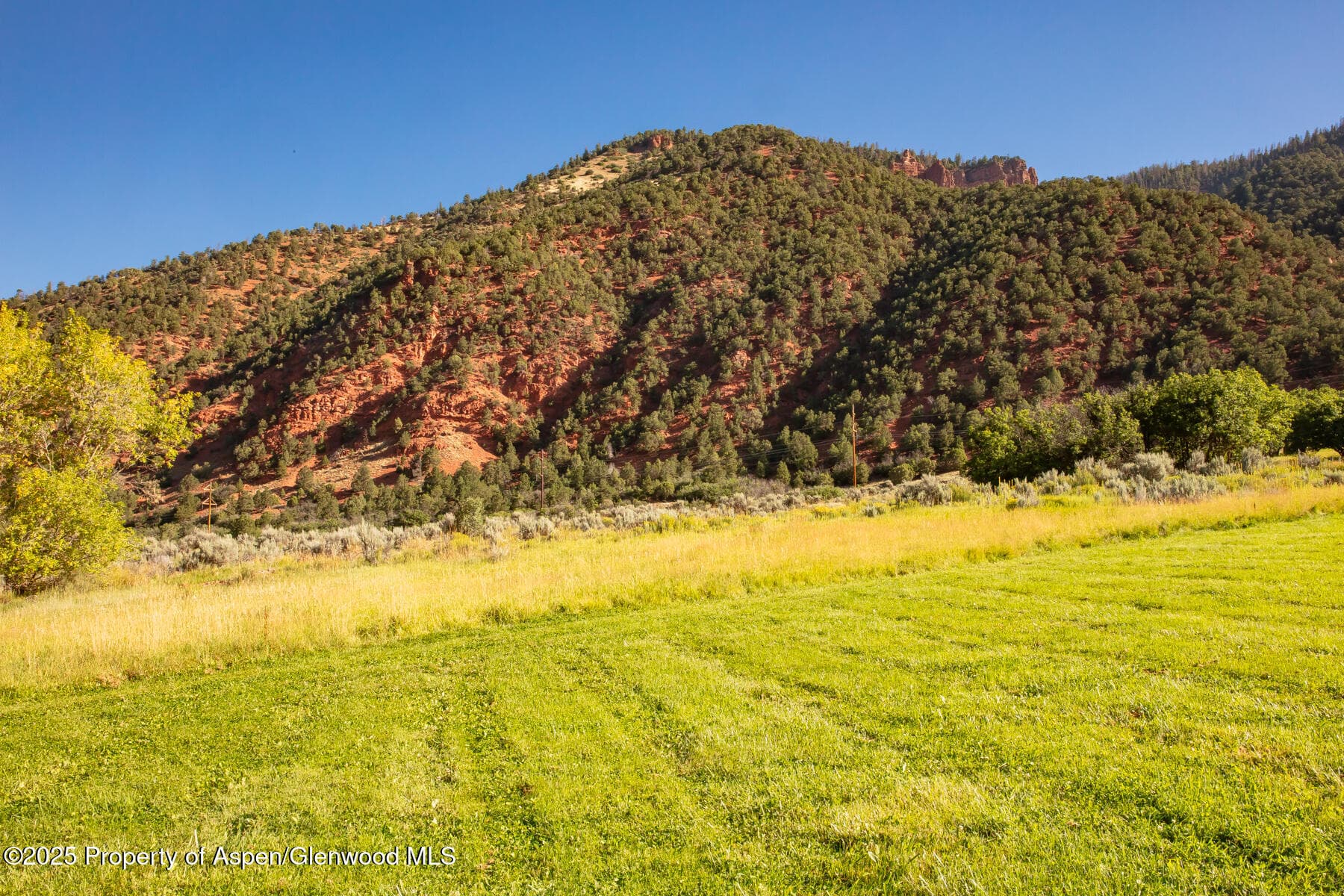 Tbd Lower River Road, Snowmass, CO 81654 - Photo 13
