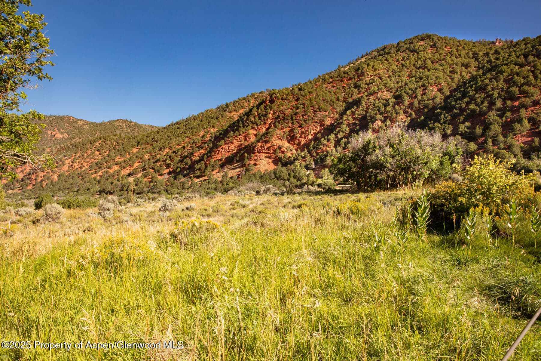 Tbd Lower River Road, Snowmass, CO 81654 - Photo 8