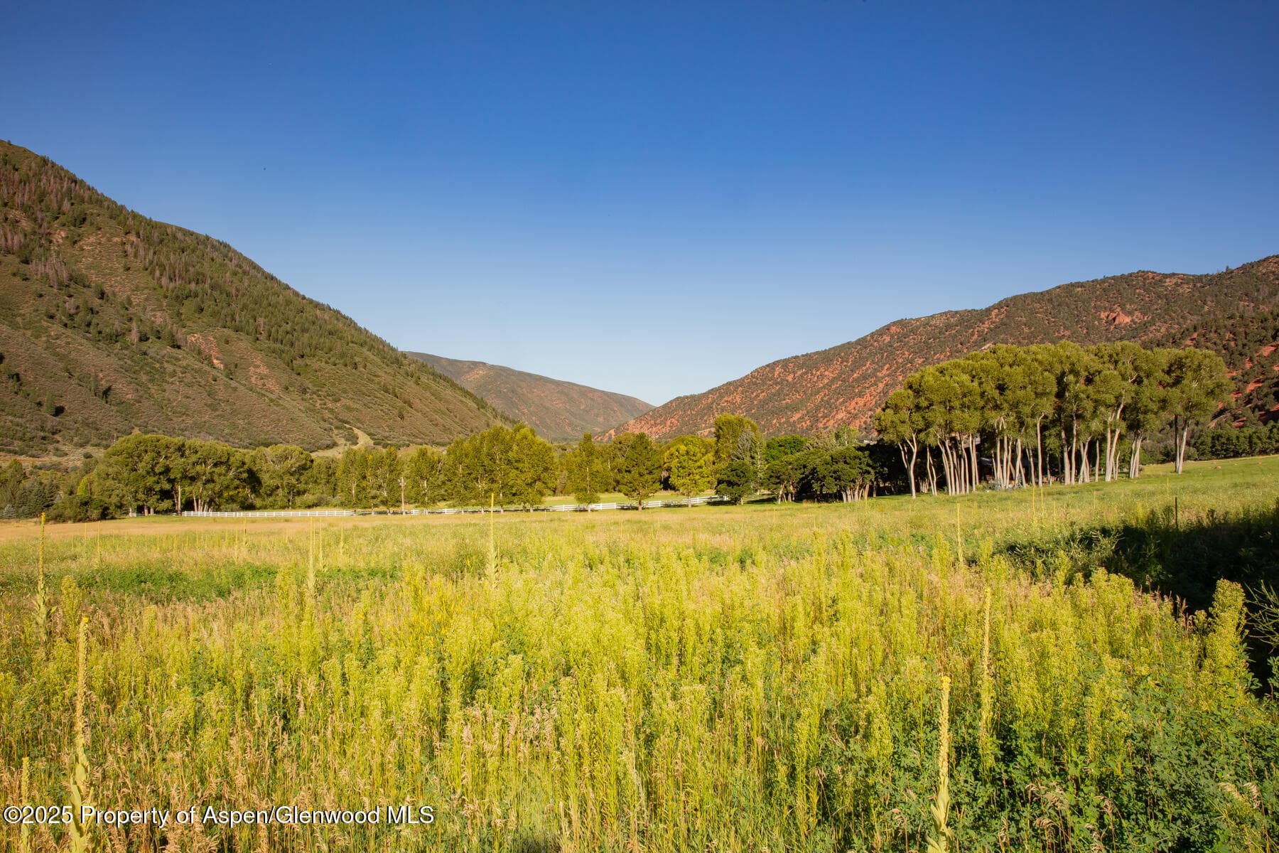 Tbd Lower River Road, Snowmass, CO 81654 - Photo 16
