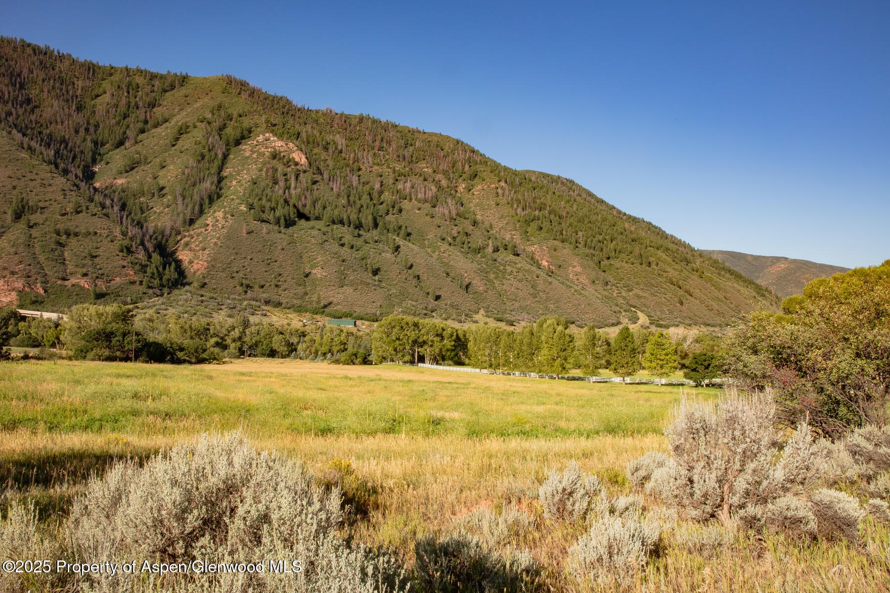 Tbd Lower River Road, Snowmass, CO 81654 - Photo 9