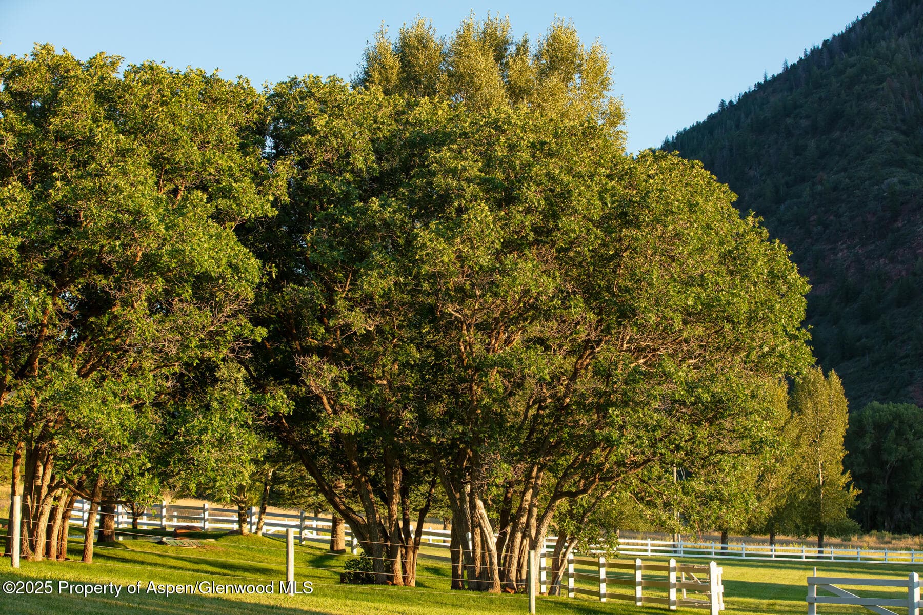 Tbd Lower River Road, Snowmass, CO 81654 - Photo 10
