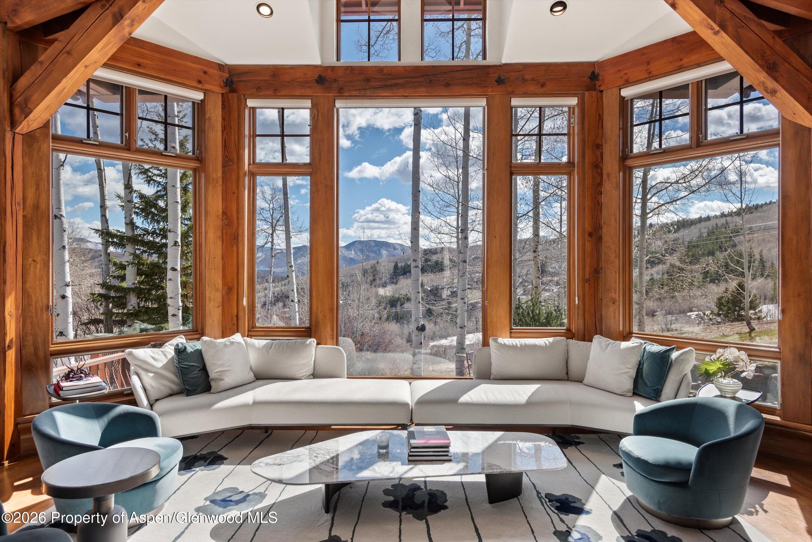 1000 Two Creeks Drive, Snowmass Village, CO 81615 - Photo 10