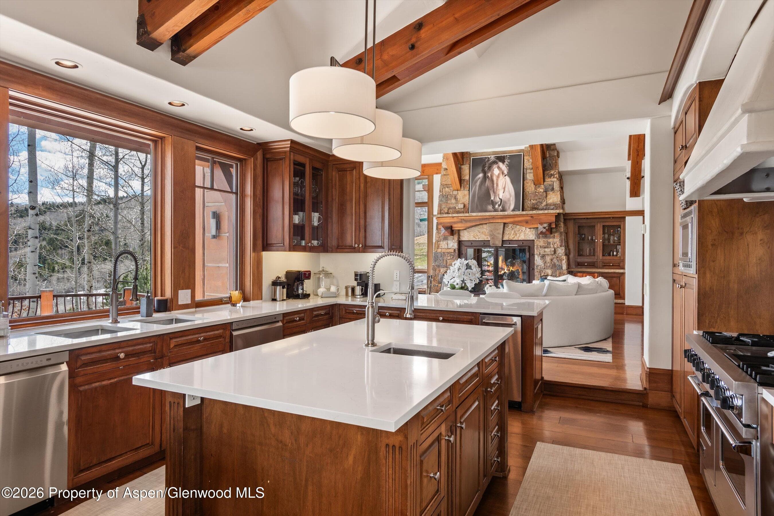 1000 Two Creeks Drive, Snowmass Village, CO 81615 - Photo 20
