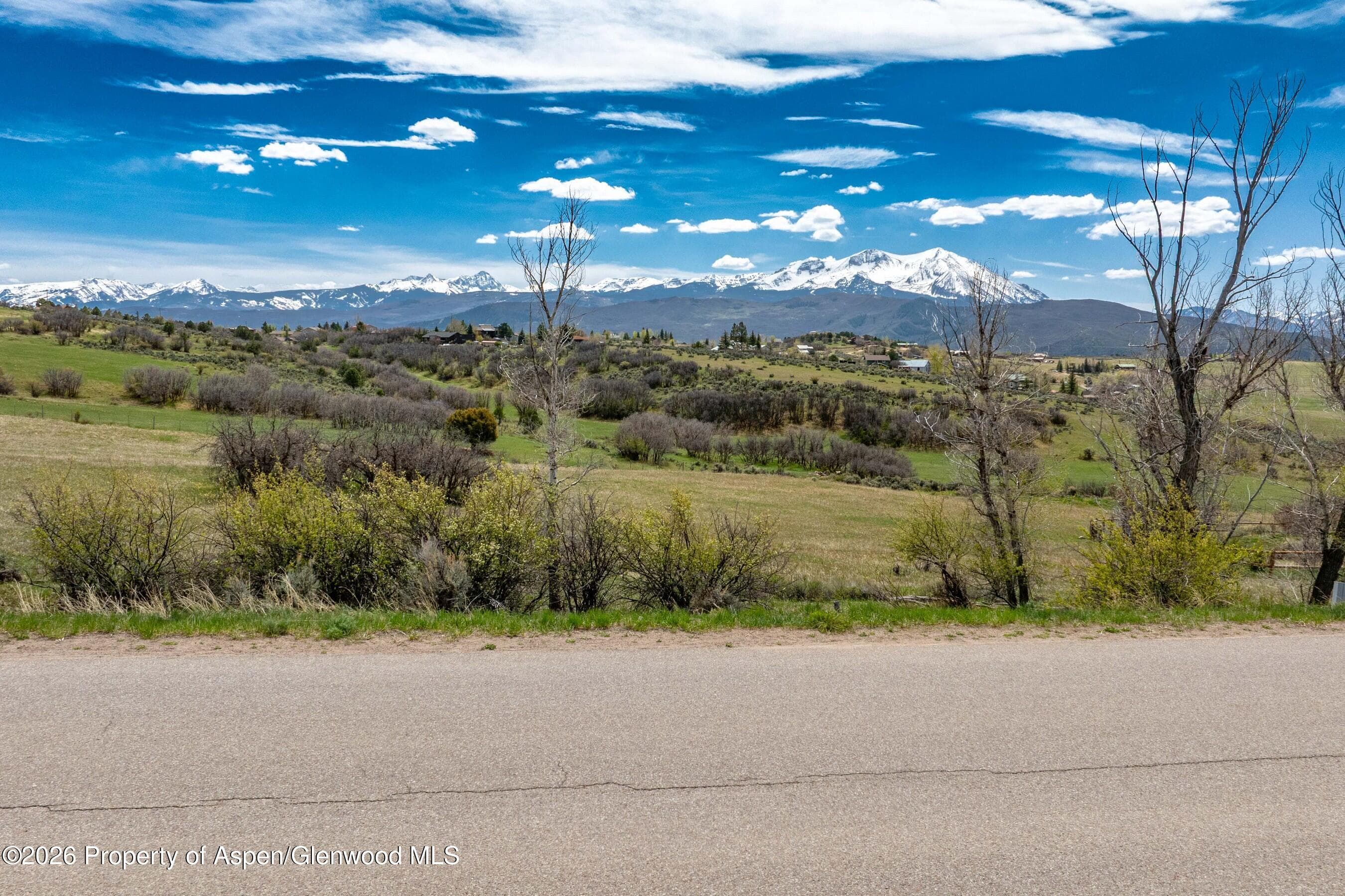 306 Green Meadow Drive, Carbondale, CO 81623 - Photo 7