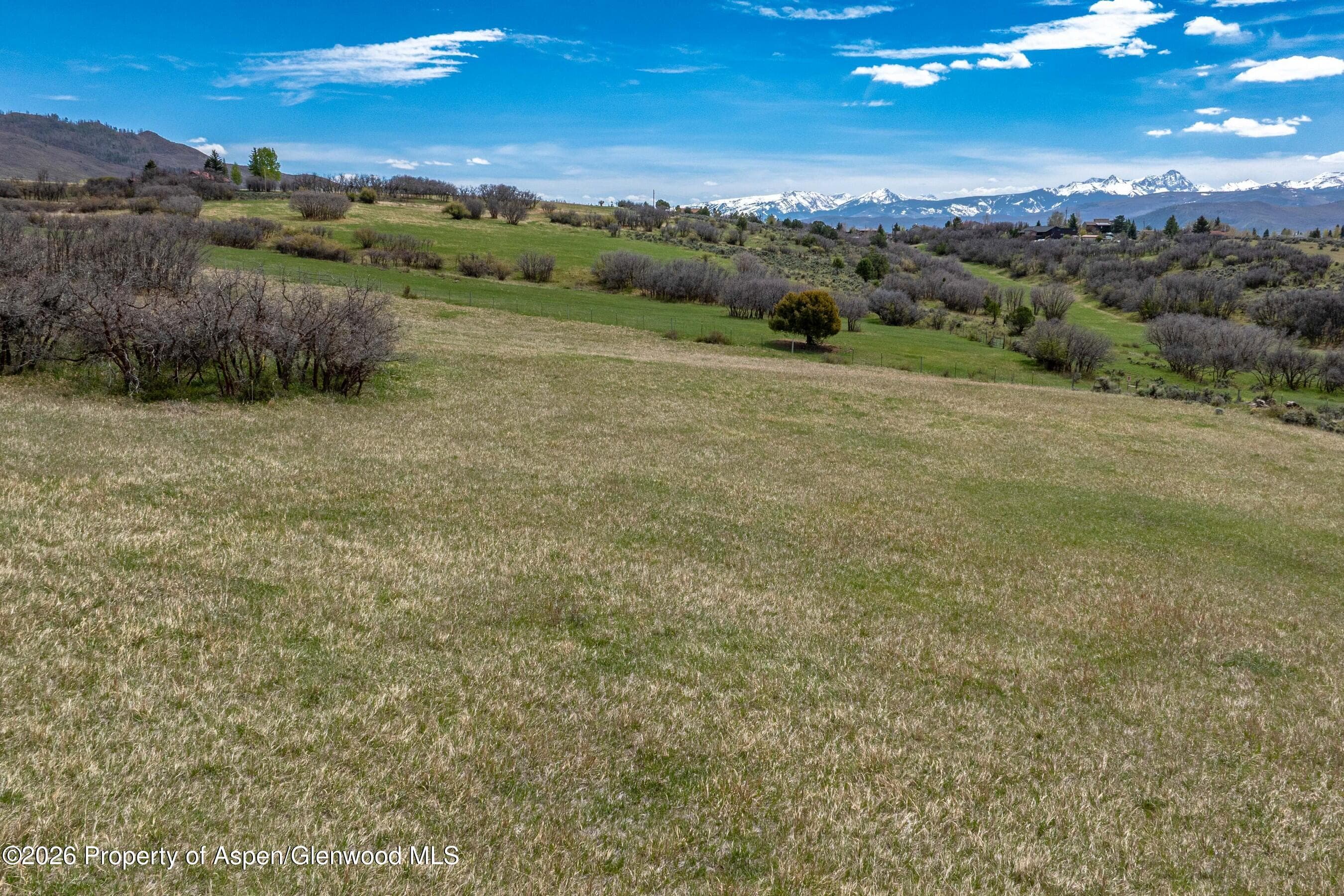 306 Green Meadow Drive, Carbondale, CO 81623 - Photo 8
