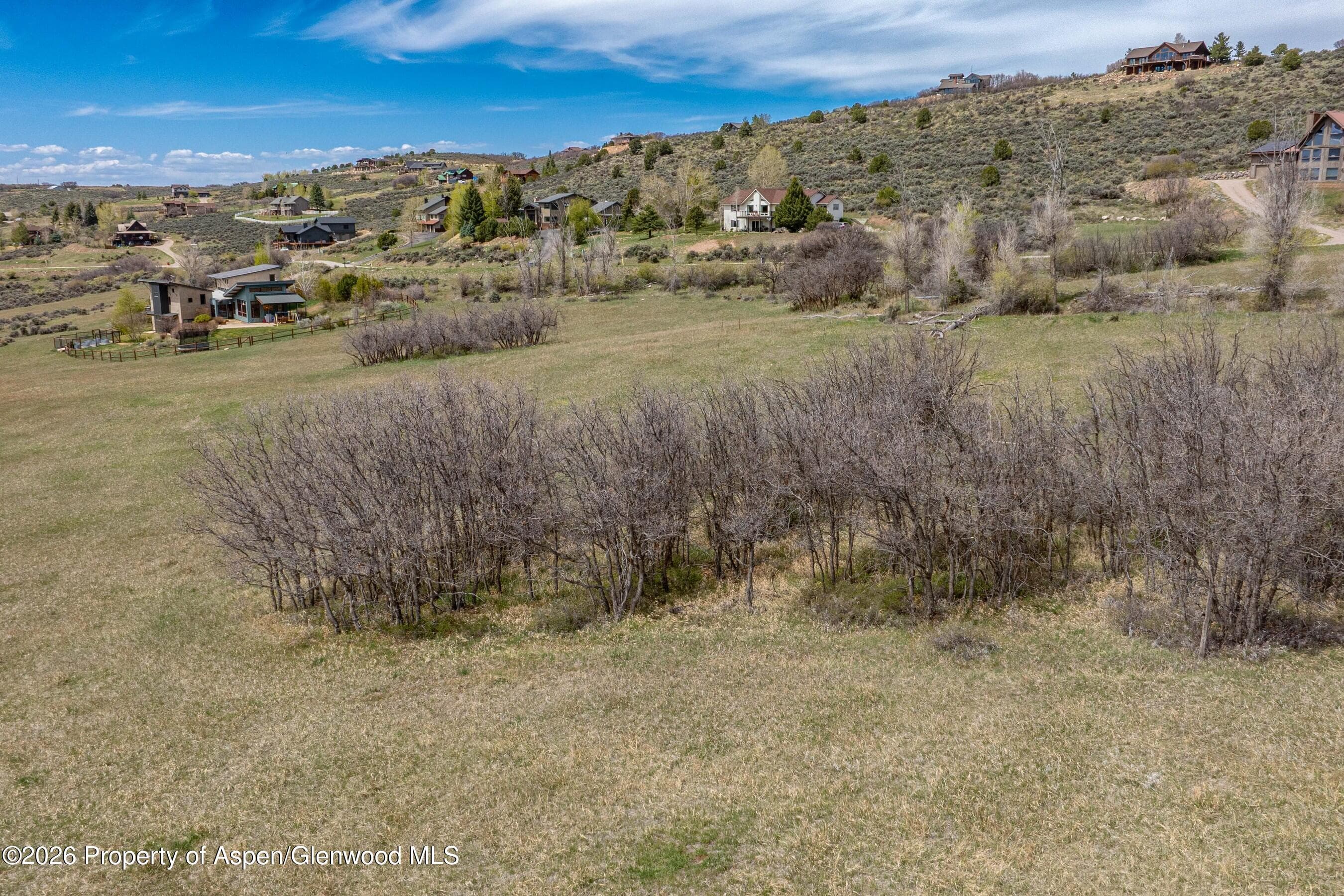 306 Green Meadow Drive, Carbondale, CO 81623 - Photo 9