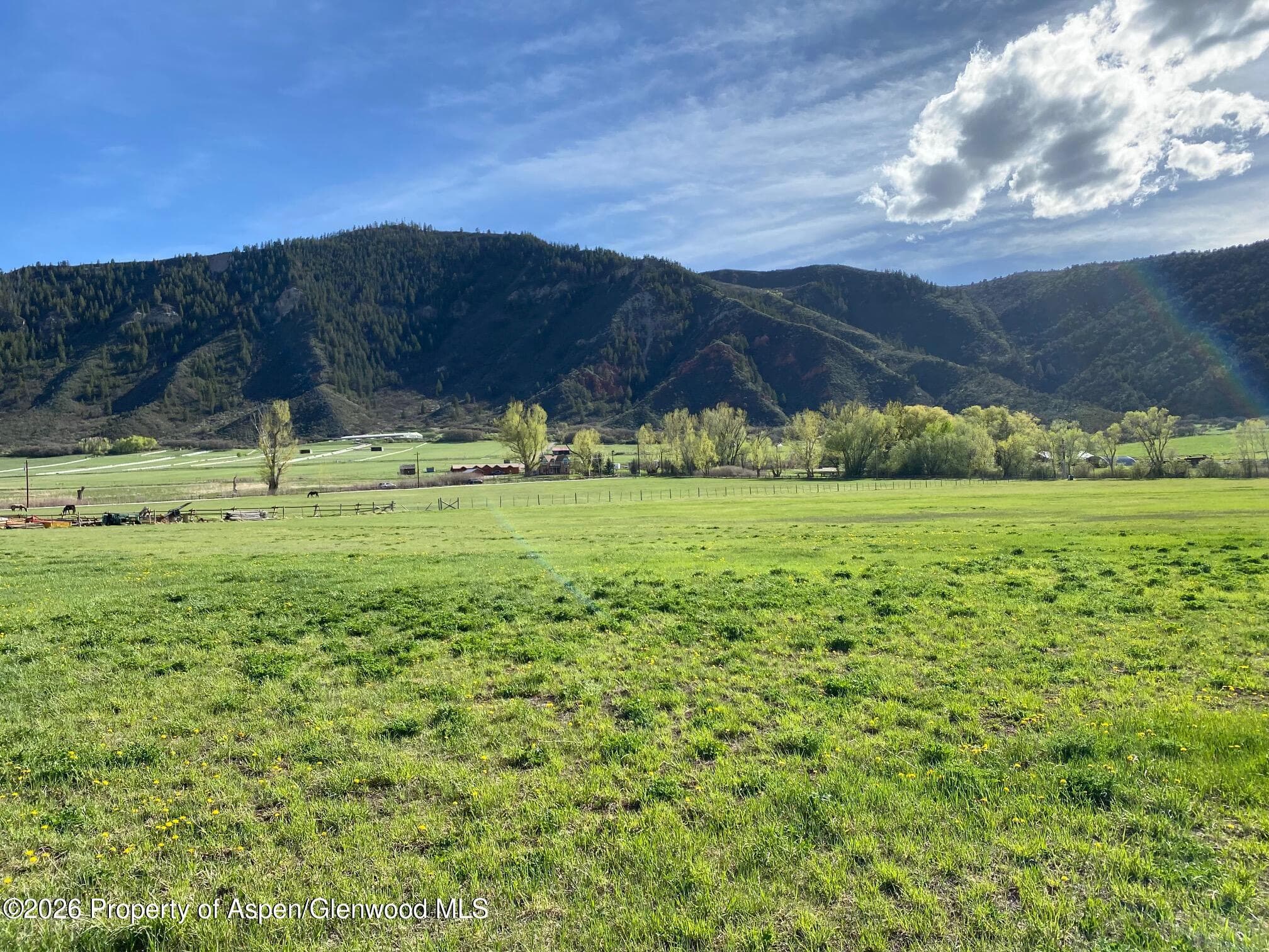 464 Hooks Lane, Basalt, CO 81621 - Photo 9