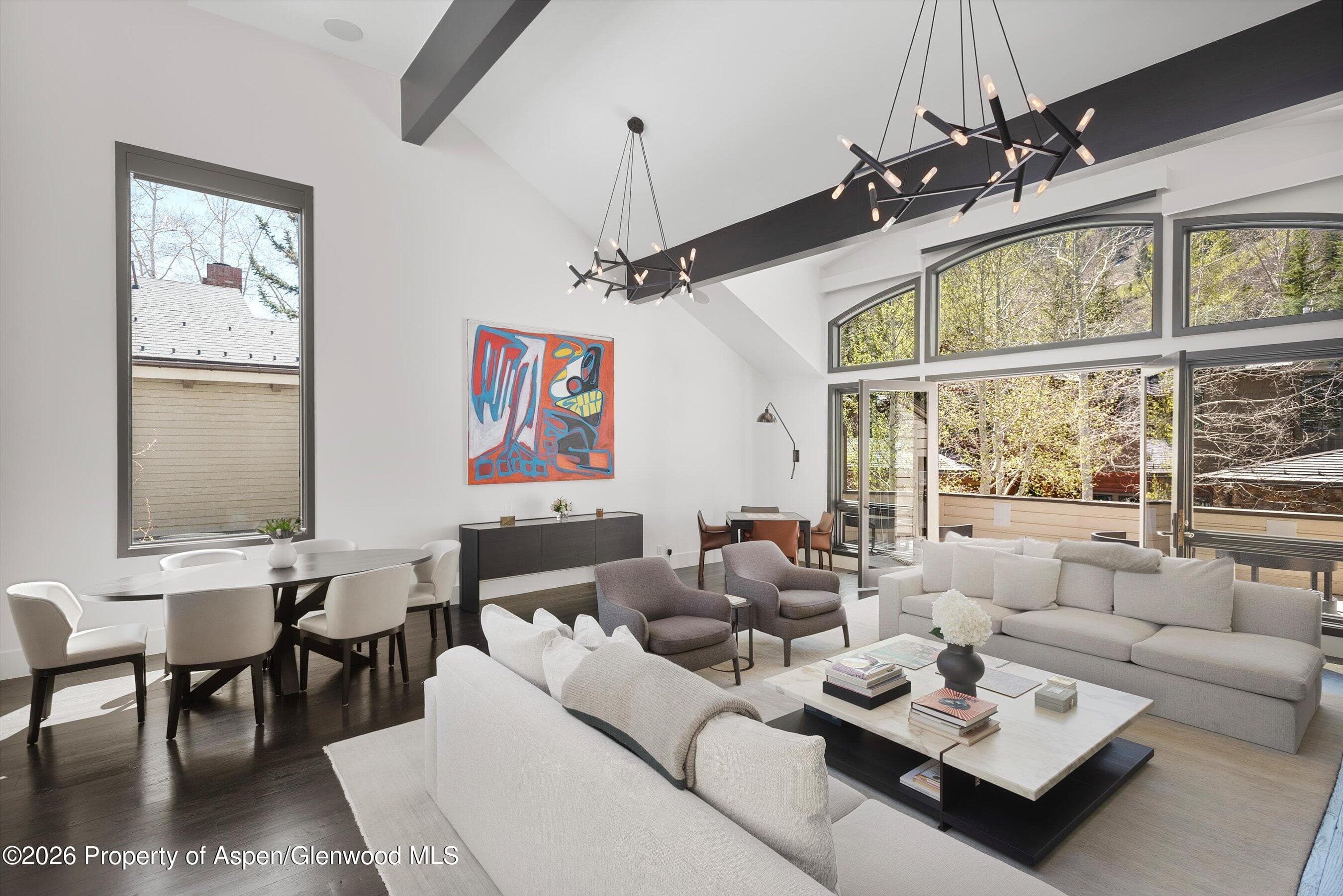 121 W Hyman Avenue B, Aspen, CO 81611 - Photo 10