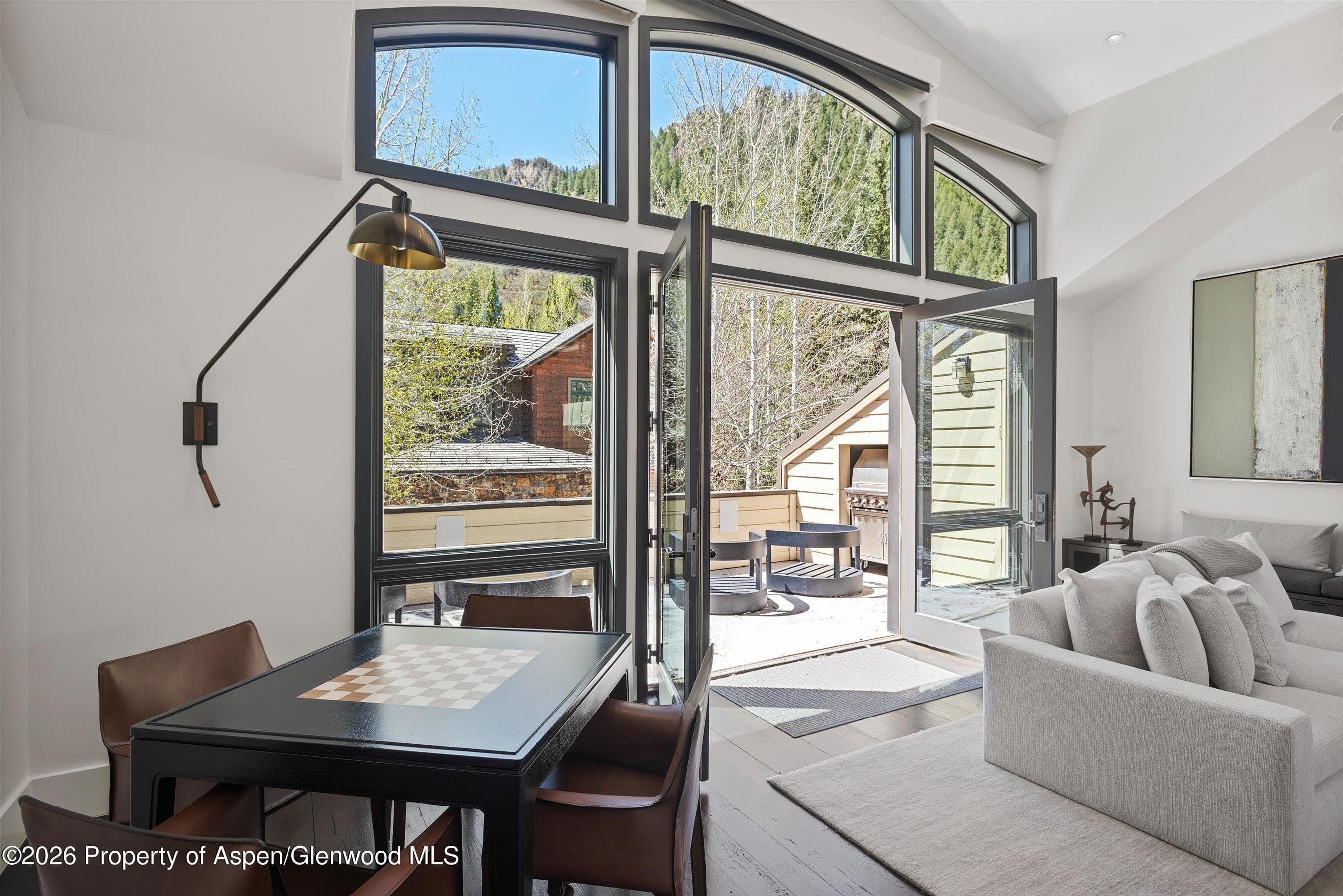 121 W Hyman Avenue B, Aspen, CO 81611 - Photo 9