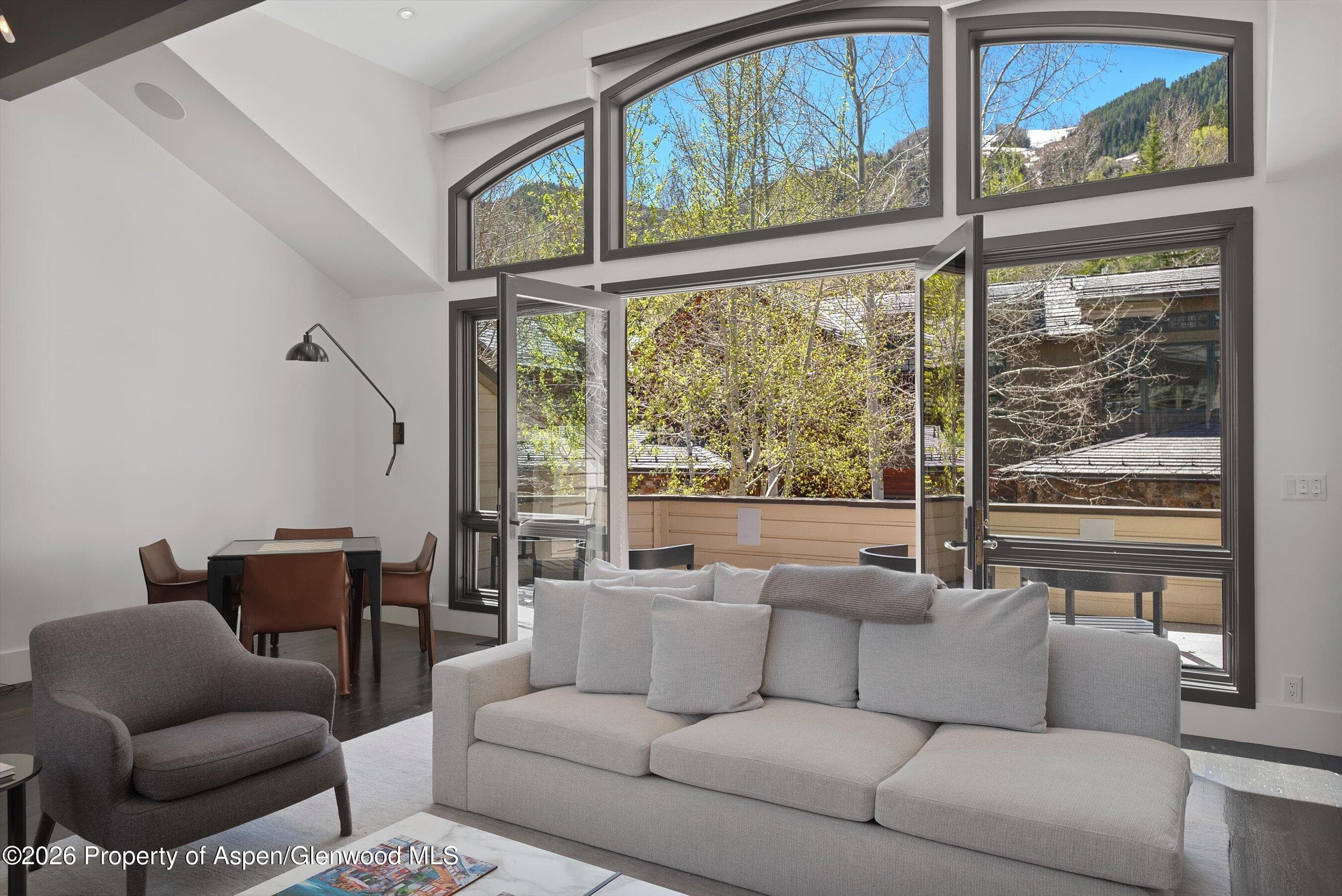 121 W Hyman Avenue B, Aspen, CO 81611 - Photo 7