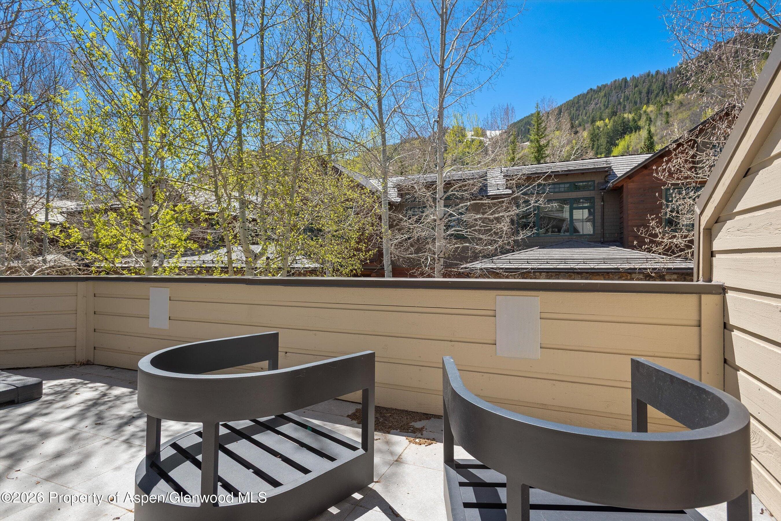 121 W Hyman Avenue B, Aspen, CO 81611 - Photo 3