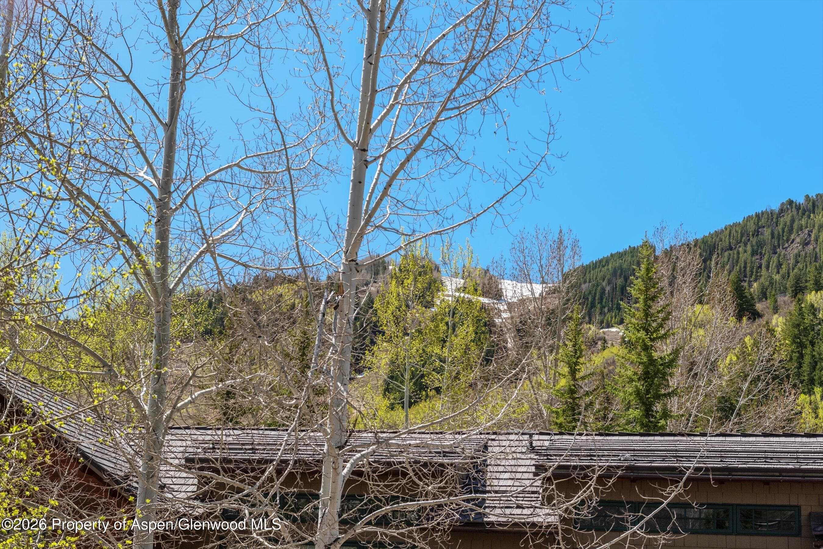 121 W Hyman Avenue B, Aspen, CO 81611 - Photo 4