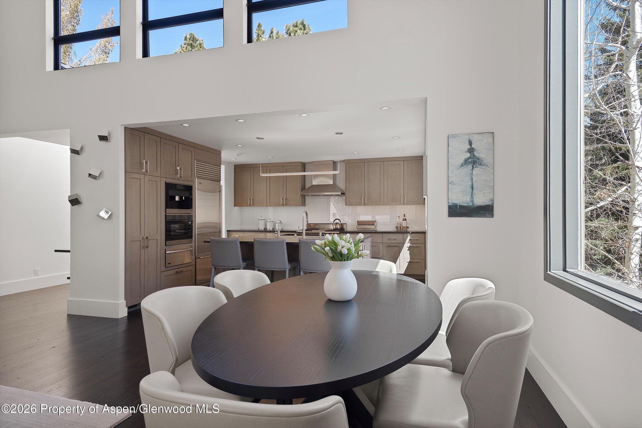 121 W Hyman Avenue B, Aspen, CO 81611 - Photo 13