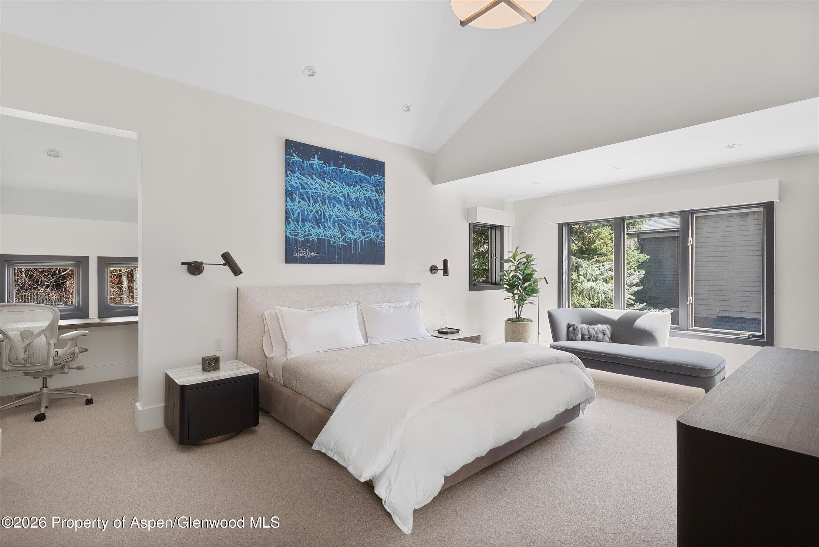121 W Hyman Avenue B, Aspen, CO 81611 - Photo 17