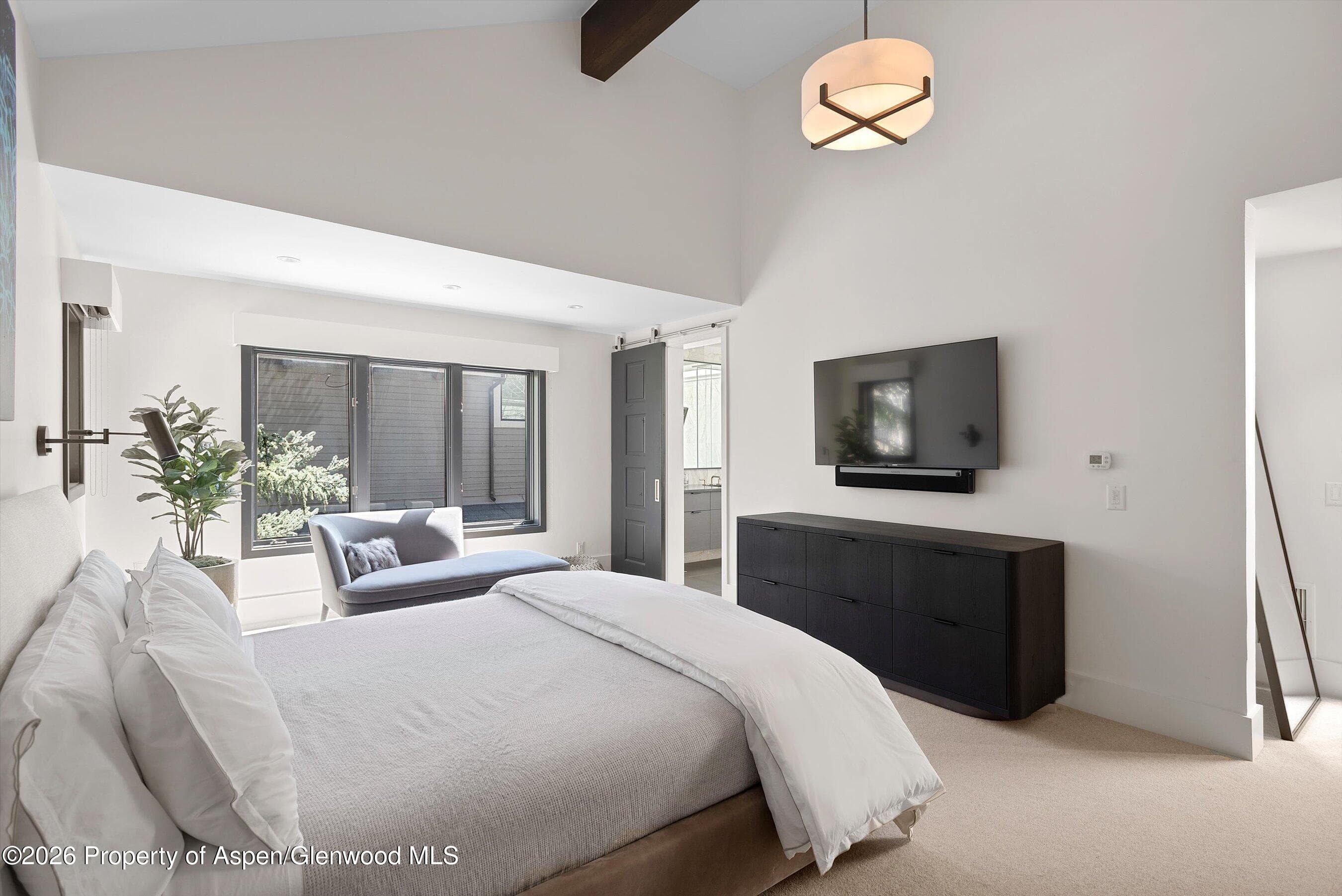 121 W Hyman Avenue B, Aspen, CO 81611 - Photo 18