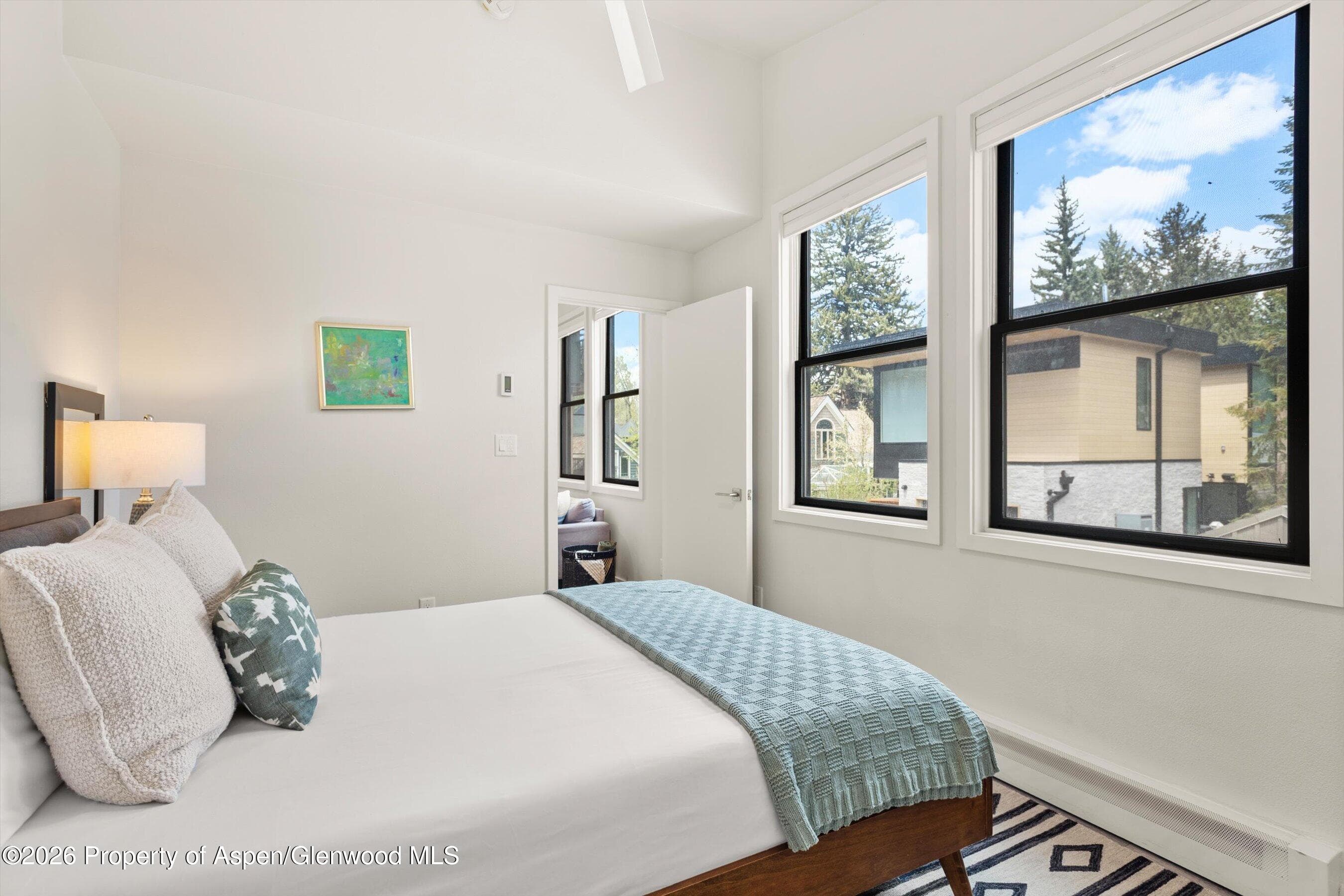 220 W Main Street 210/P1/B6, Aspen, CO 81611 - Photo 7