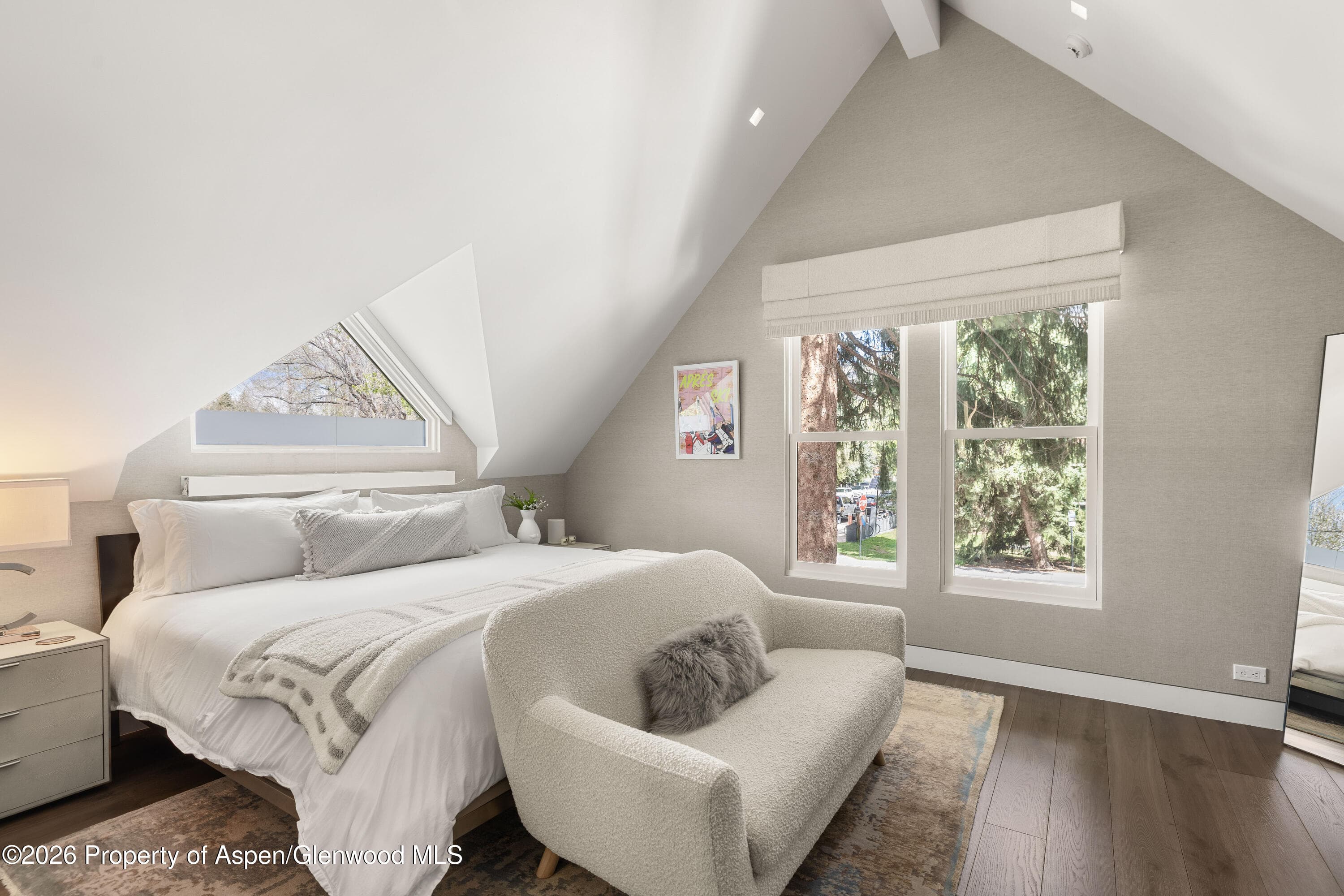 101 E Hallam Street, Aspen, CO 81611 - Photo 25