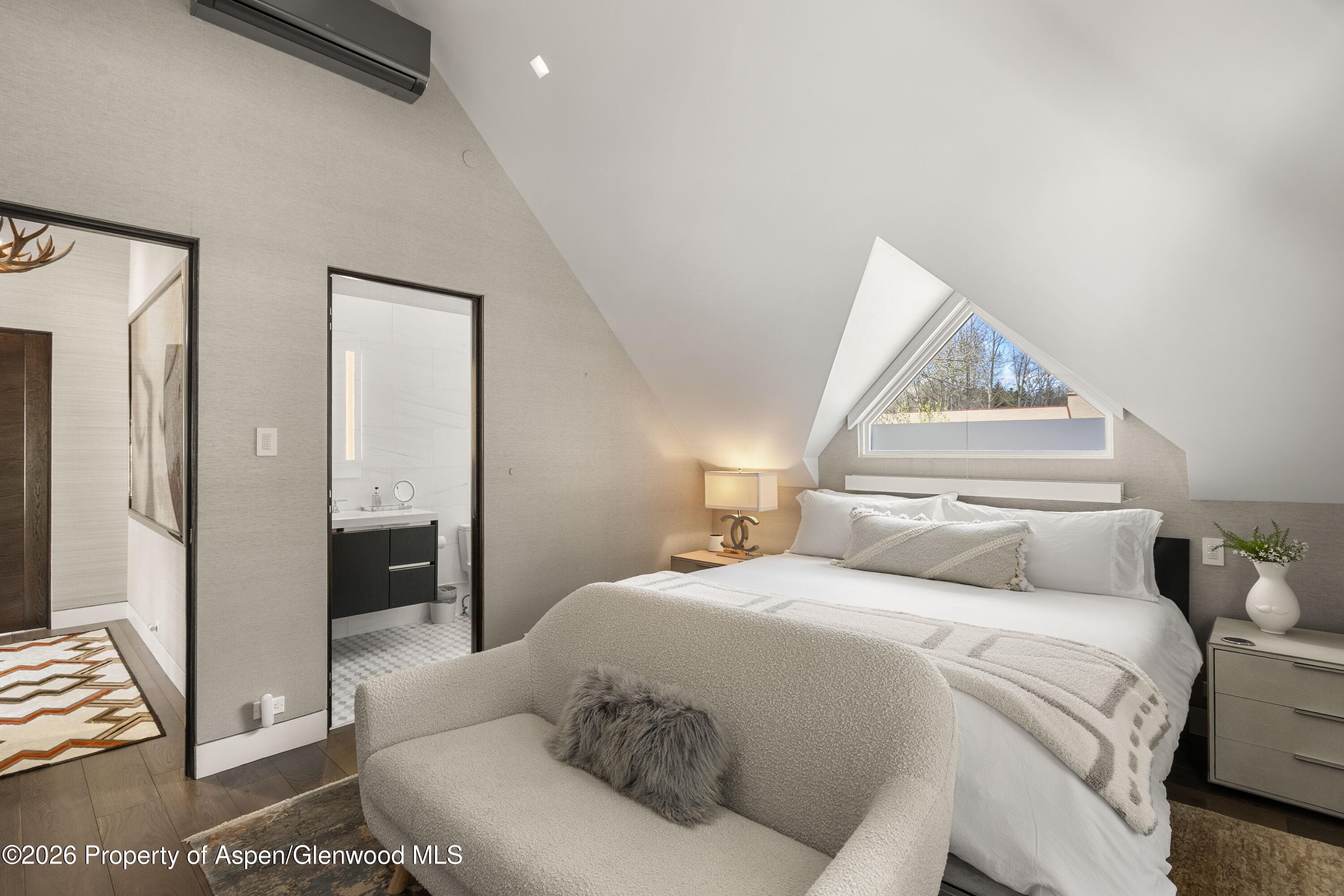 101 E Hallam Street, Aspen, CO 81611 - Photo 26