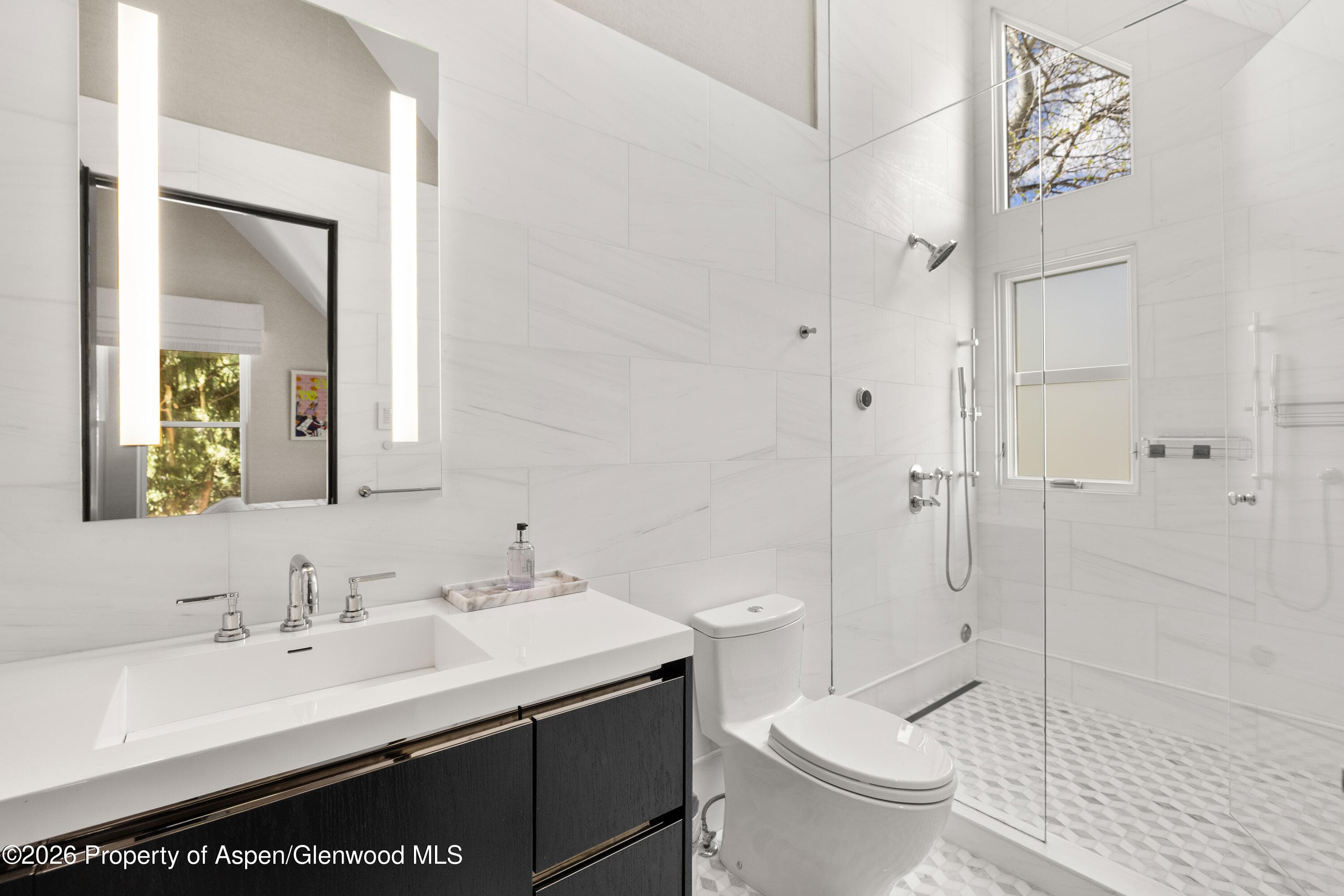 101 E Hallam Street, Aspen, CO 81611 - Photo 29