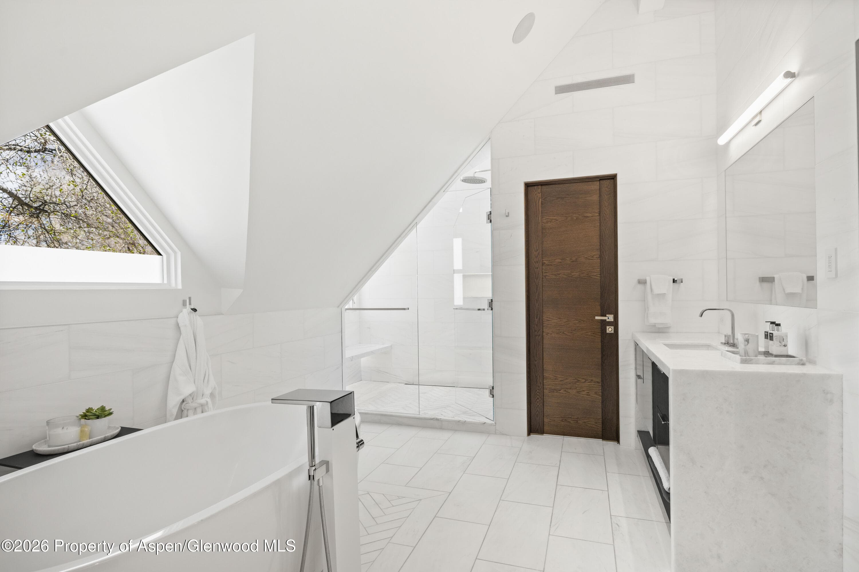 101 E Hallam Street, Aspen, CO 81611 - Photo 24