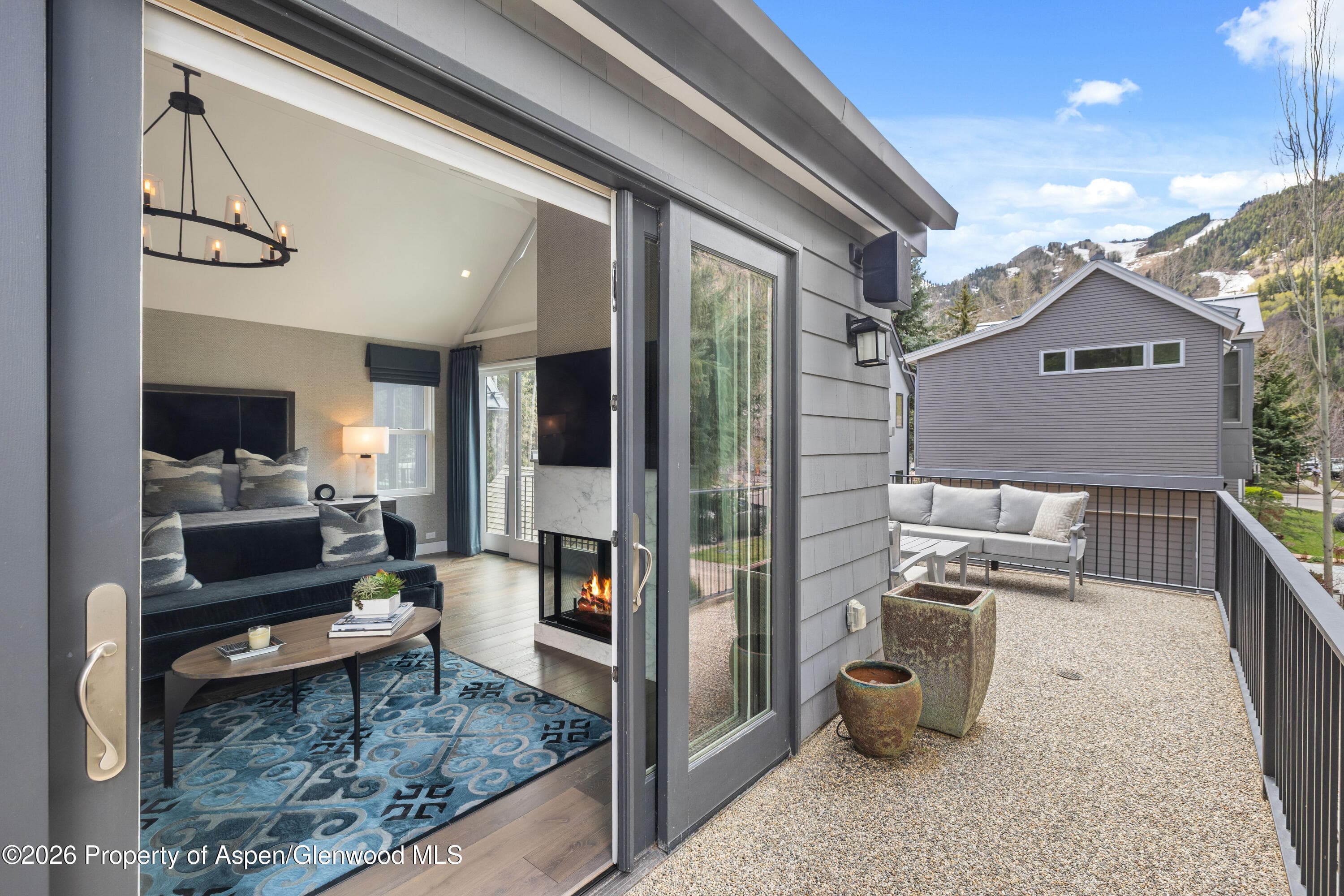 101 E Hallam Street, Aspen, CO 81611 - Photo 18