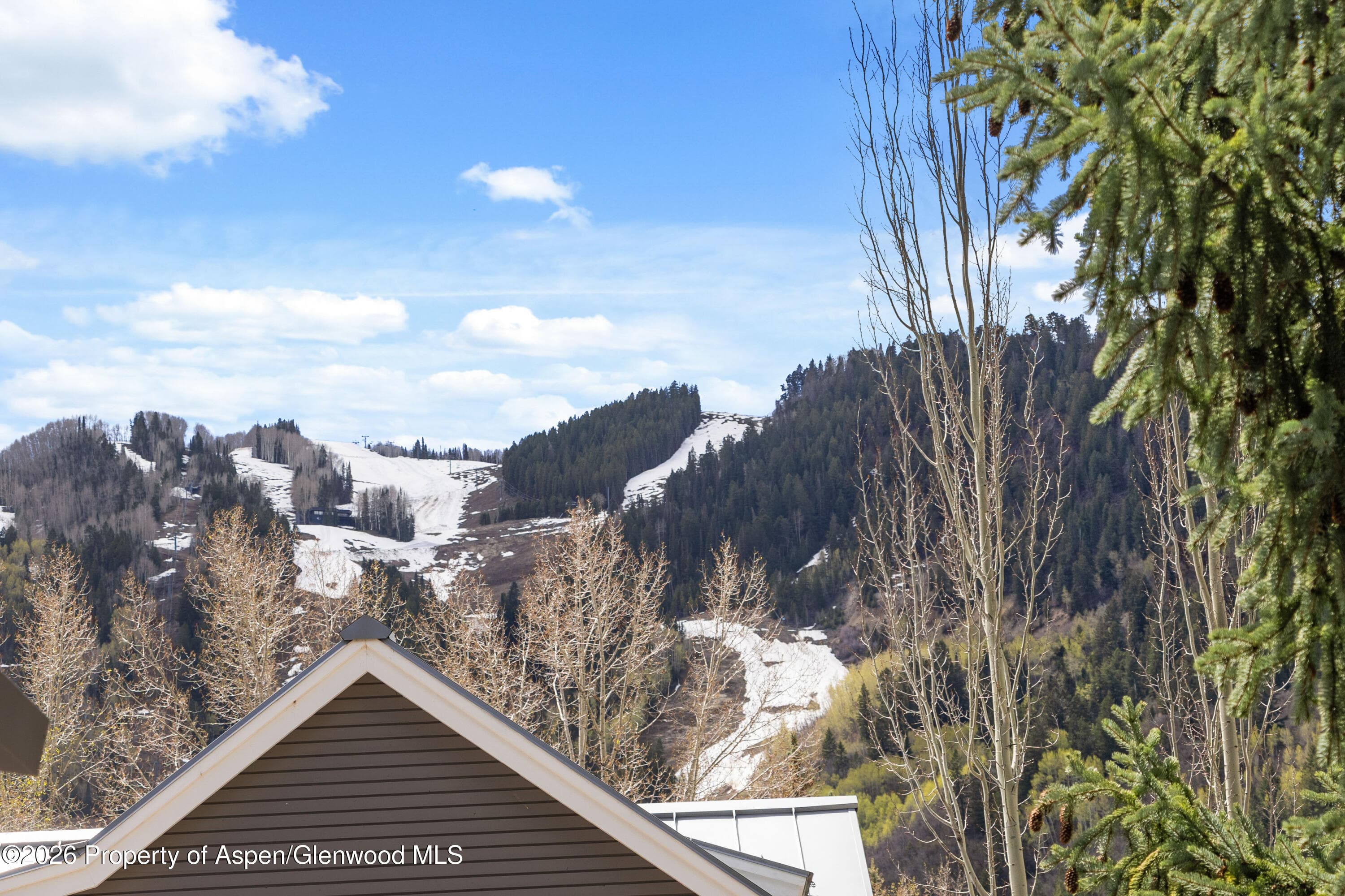 101 E Hallam Street, Aspen, CO 81611 - Photo 20