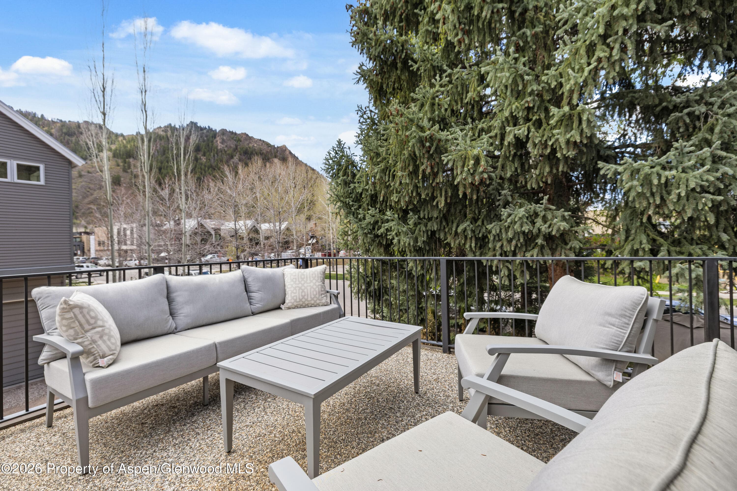 101 E Hallam Street, Aspen, CO 81611 - Photo 19