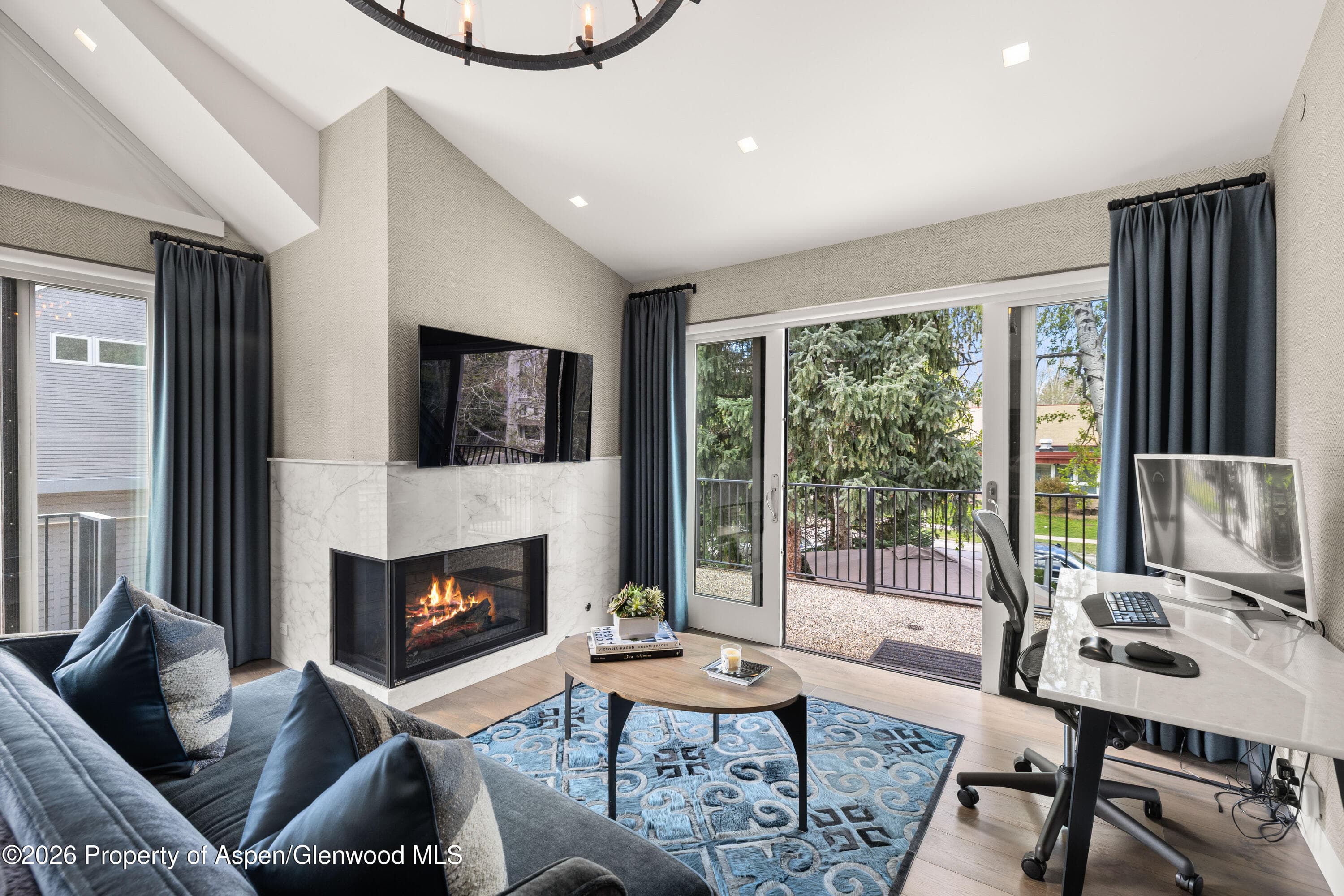 101 E Hallam Street, Aspen, CO 81611 - Photo 17