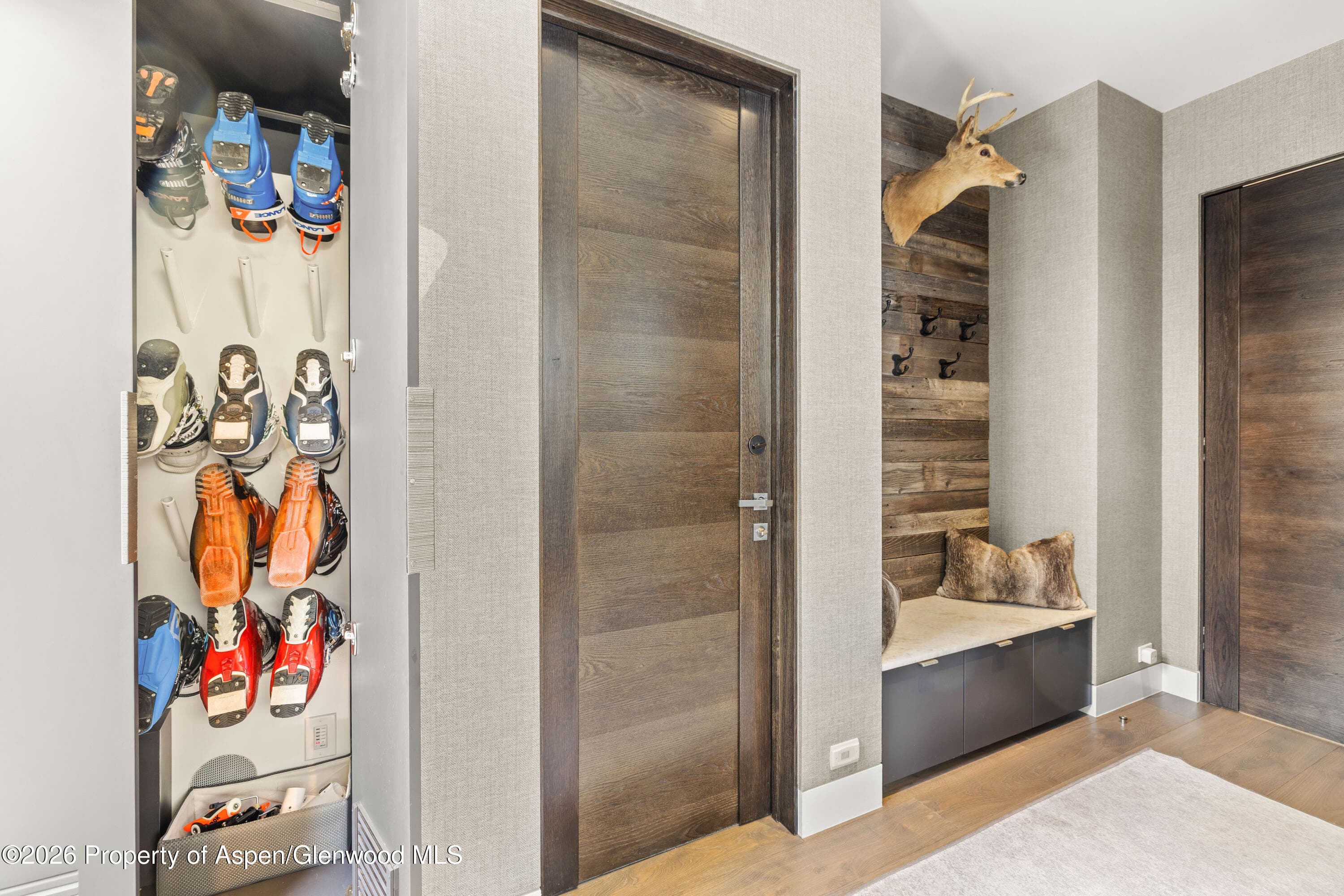 101 E Hallam Street, Aspen, CO 81611 - Photo 45