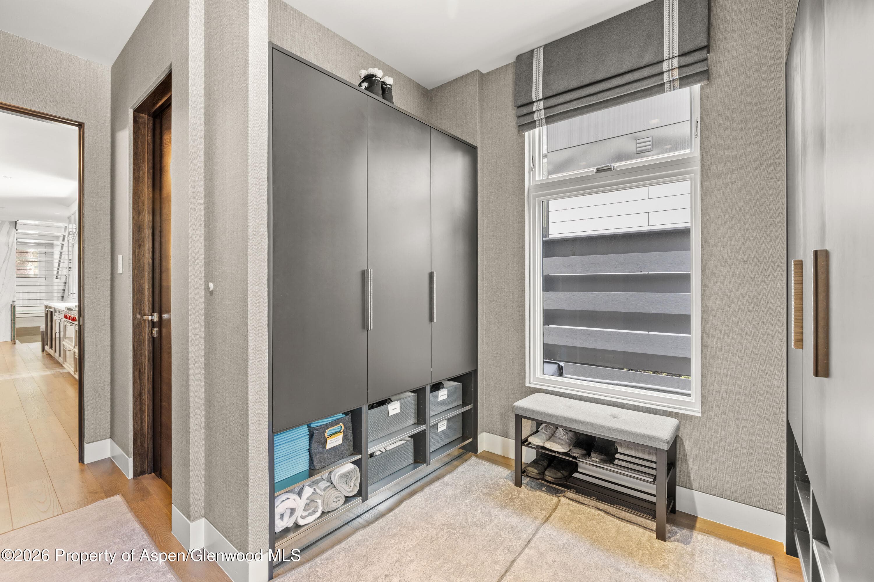 101 E Hallam Street, Aspen, CO 81611 - Photo 46