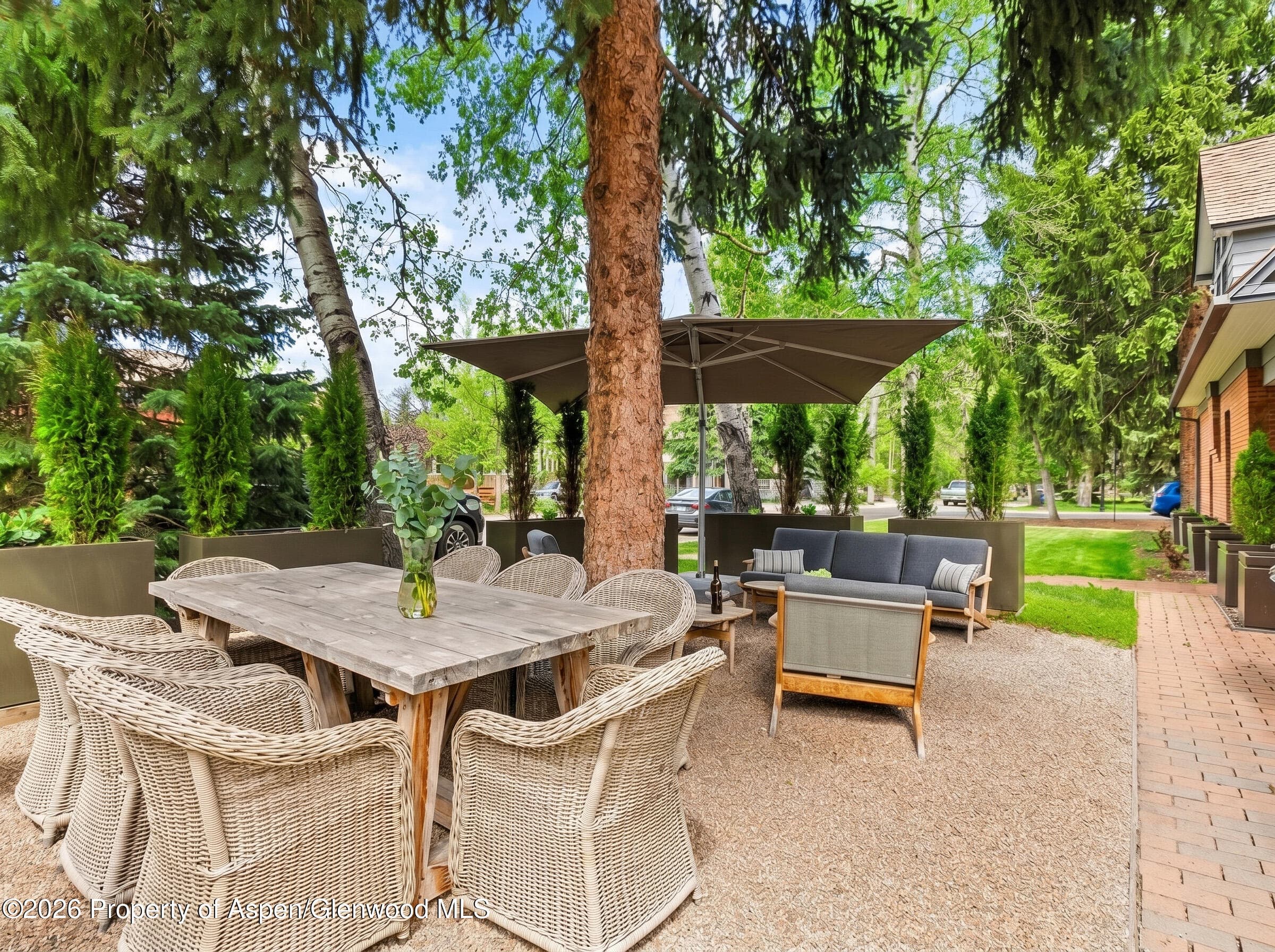 101 E Hallam Street, Aspen, CO 81611 - Photo 52