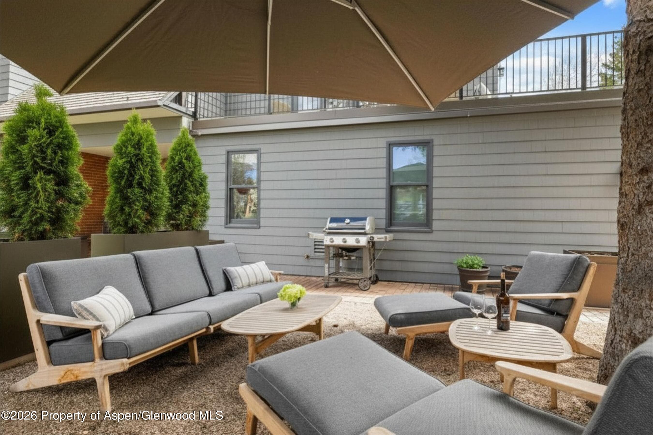 101 E Hallam Street, Aspen, CO 81611 - Photo 54