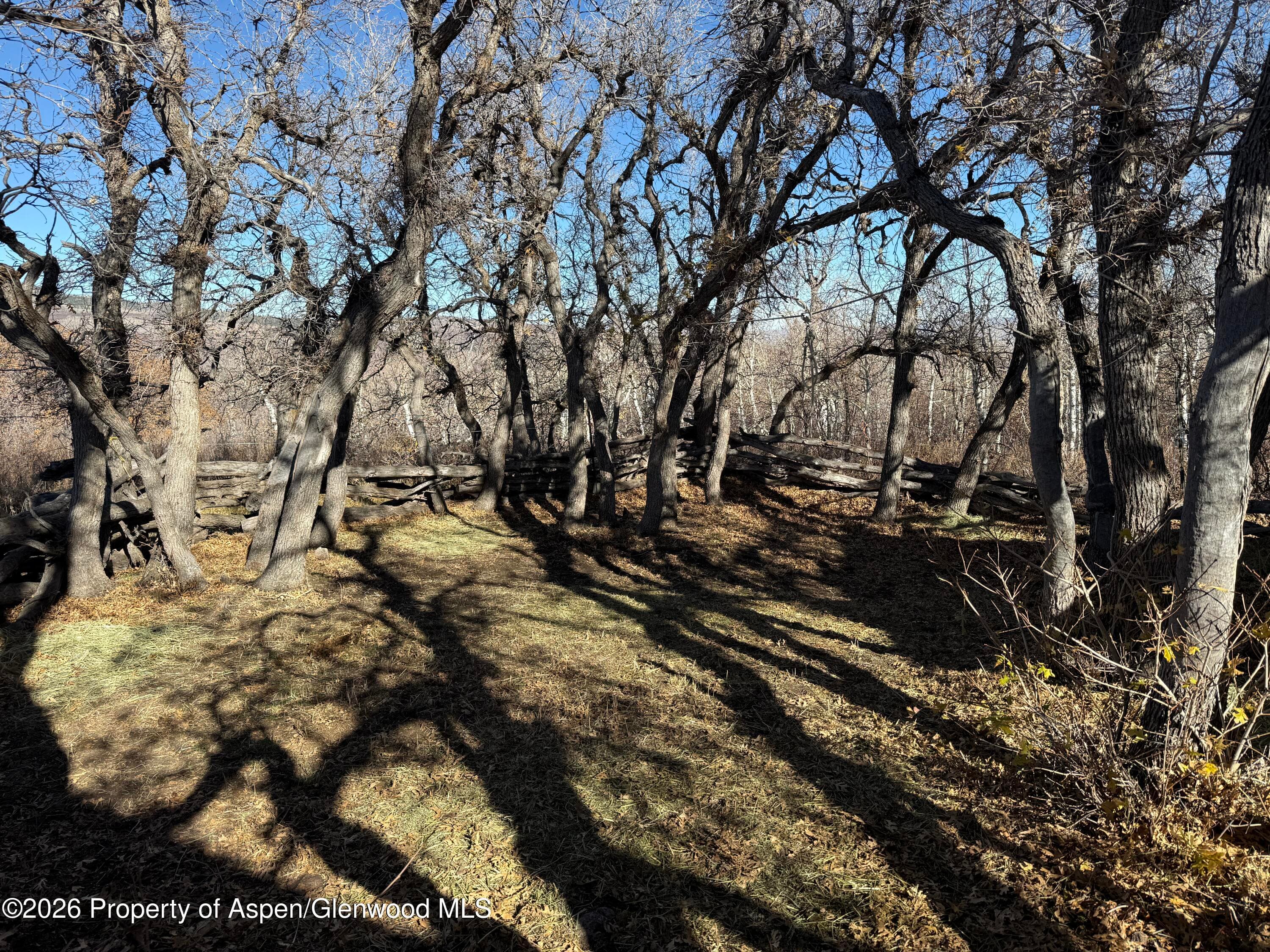 1207 Eagle Loop Lot 738, Craig, CO 81625 - Photo 11