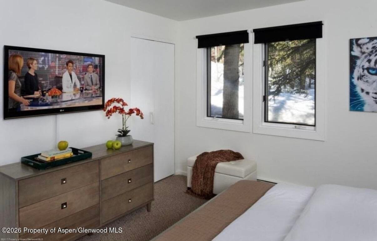 35 Upper Woodbridge Road 3, Snowmass Village, CO 81615 - Photo 9