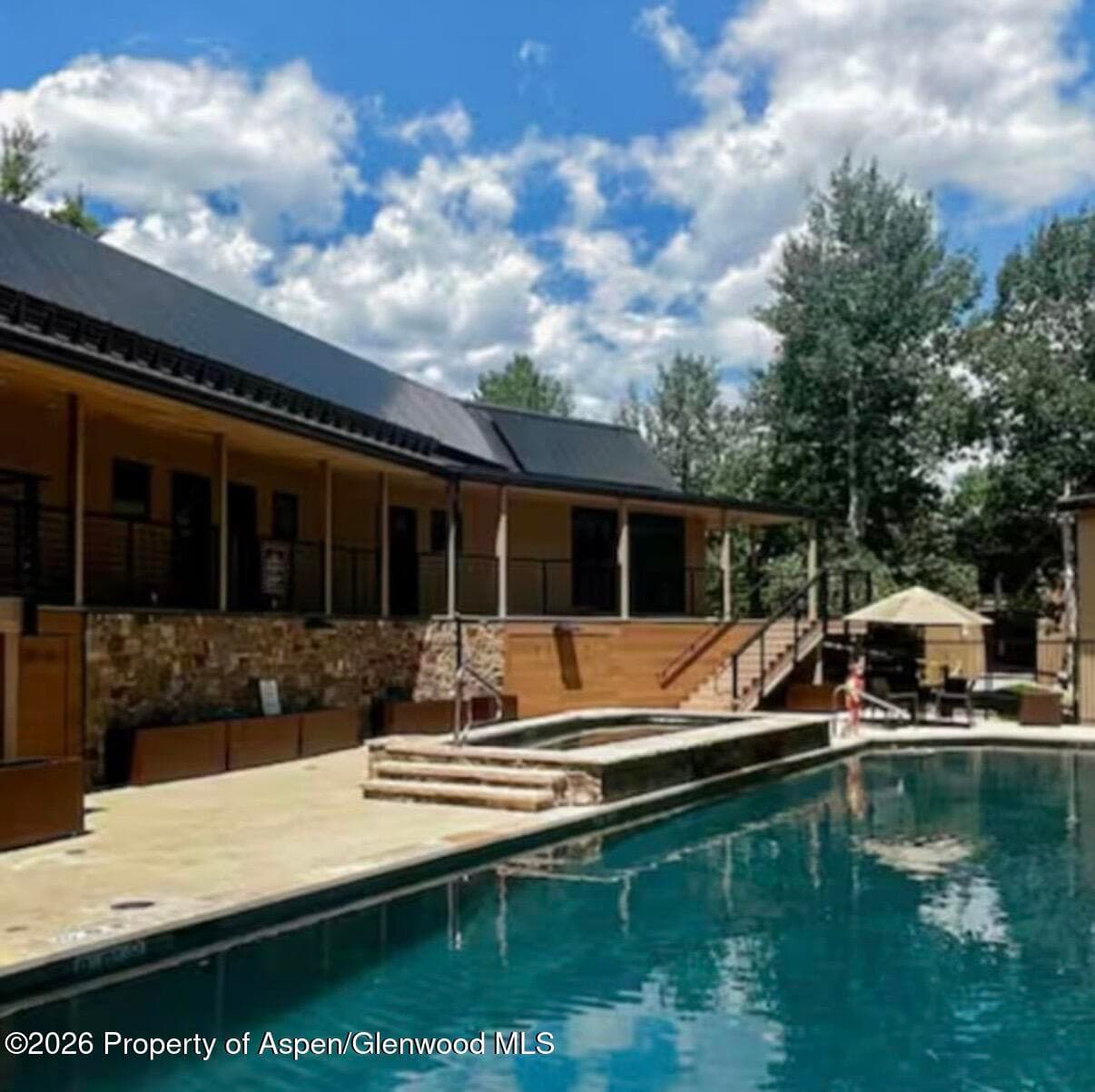35 Upper Woodbridge Road 3, Snowmass Village, CO 81615 - Photo 12