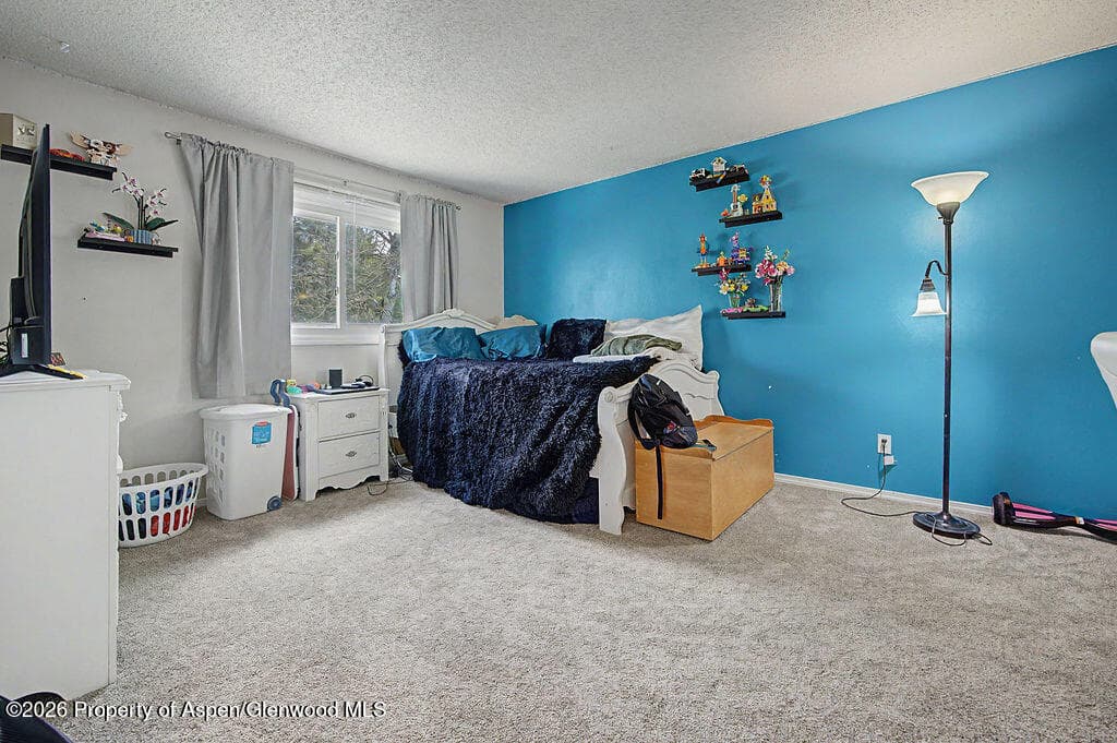 803 Exmoor Circle, Craig, CO 81625 - Photo 30