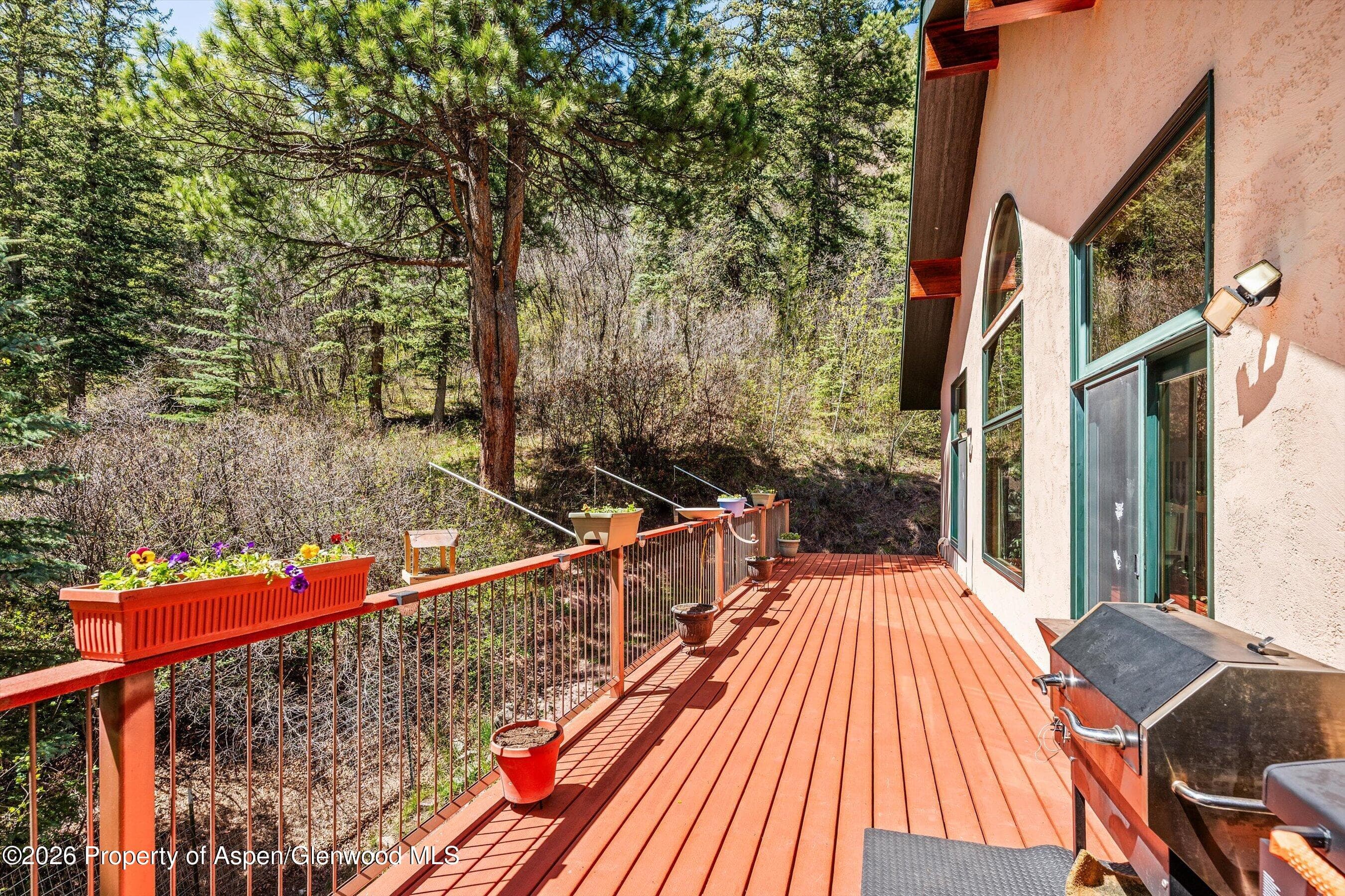 200 Elk Mountain Drive, Redstone, CO 81623 - Photo 21