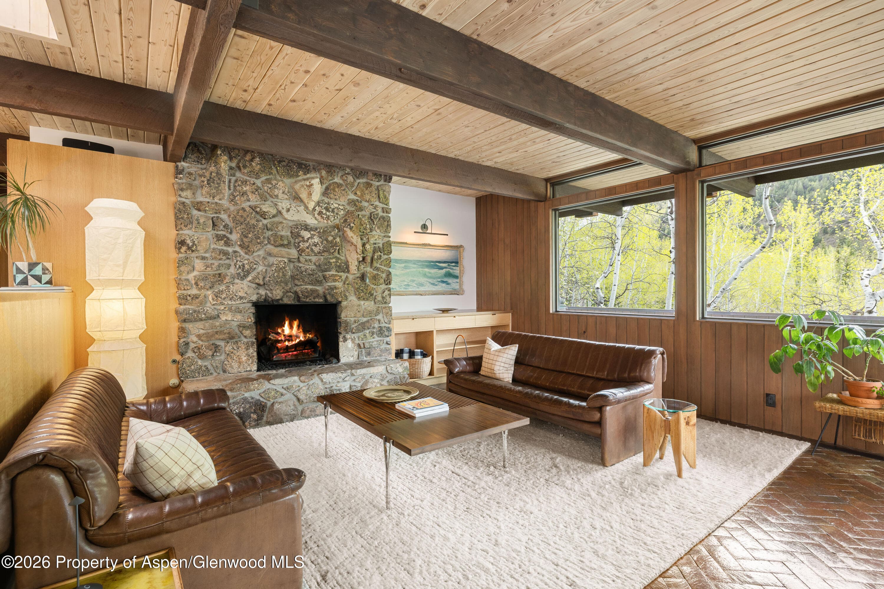 284 Eastwood Drive, Aspen, CO 81611 - Photo 6
